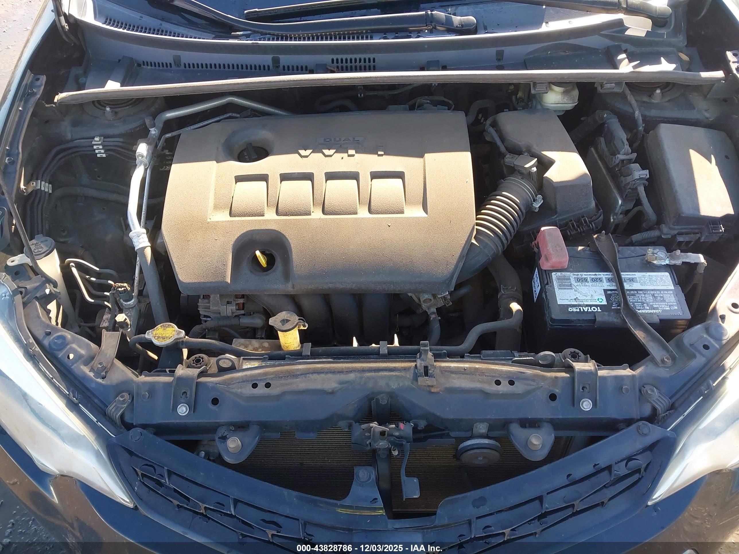 TOYOTA COROLLA image 10