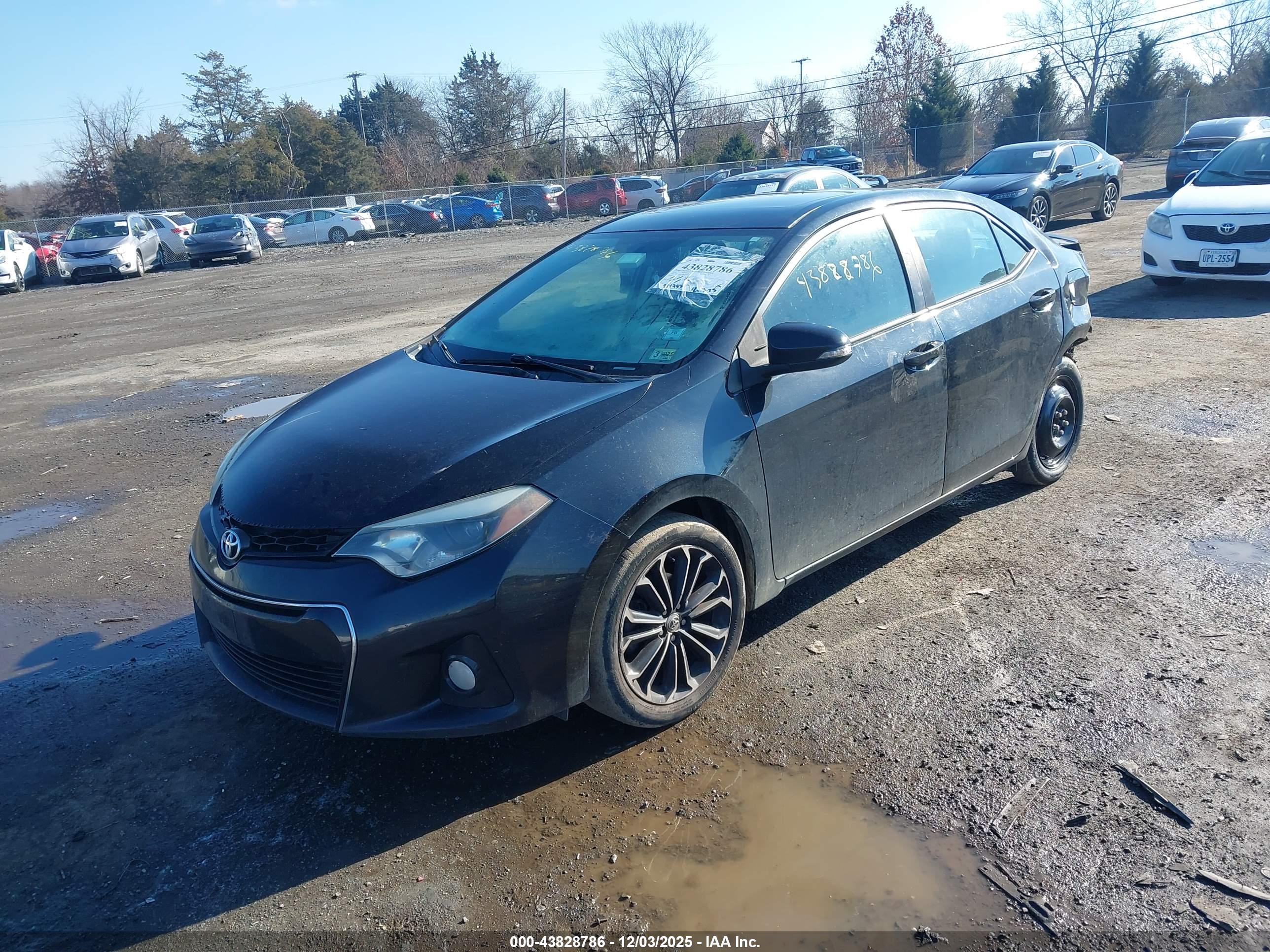TOYOTA COROLLA image 2
