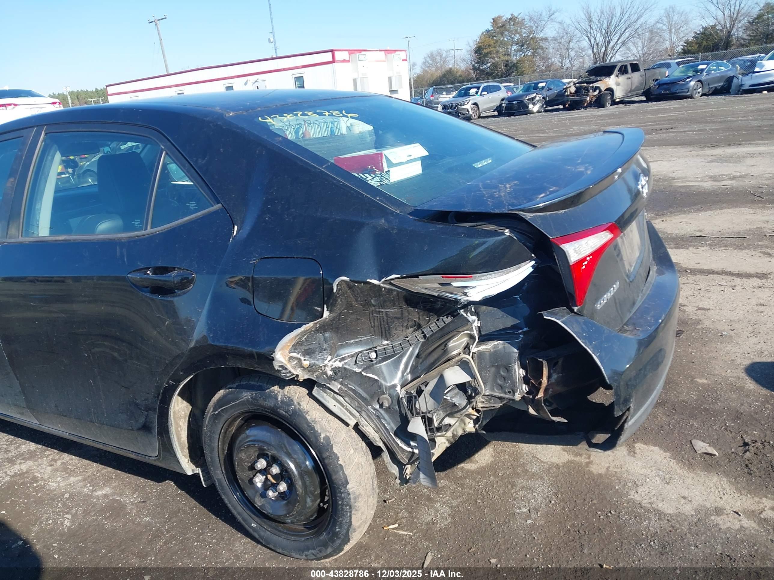 TOYOTA COROLLA image 6