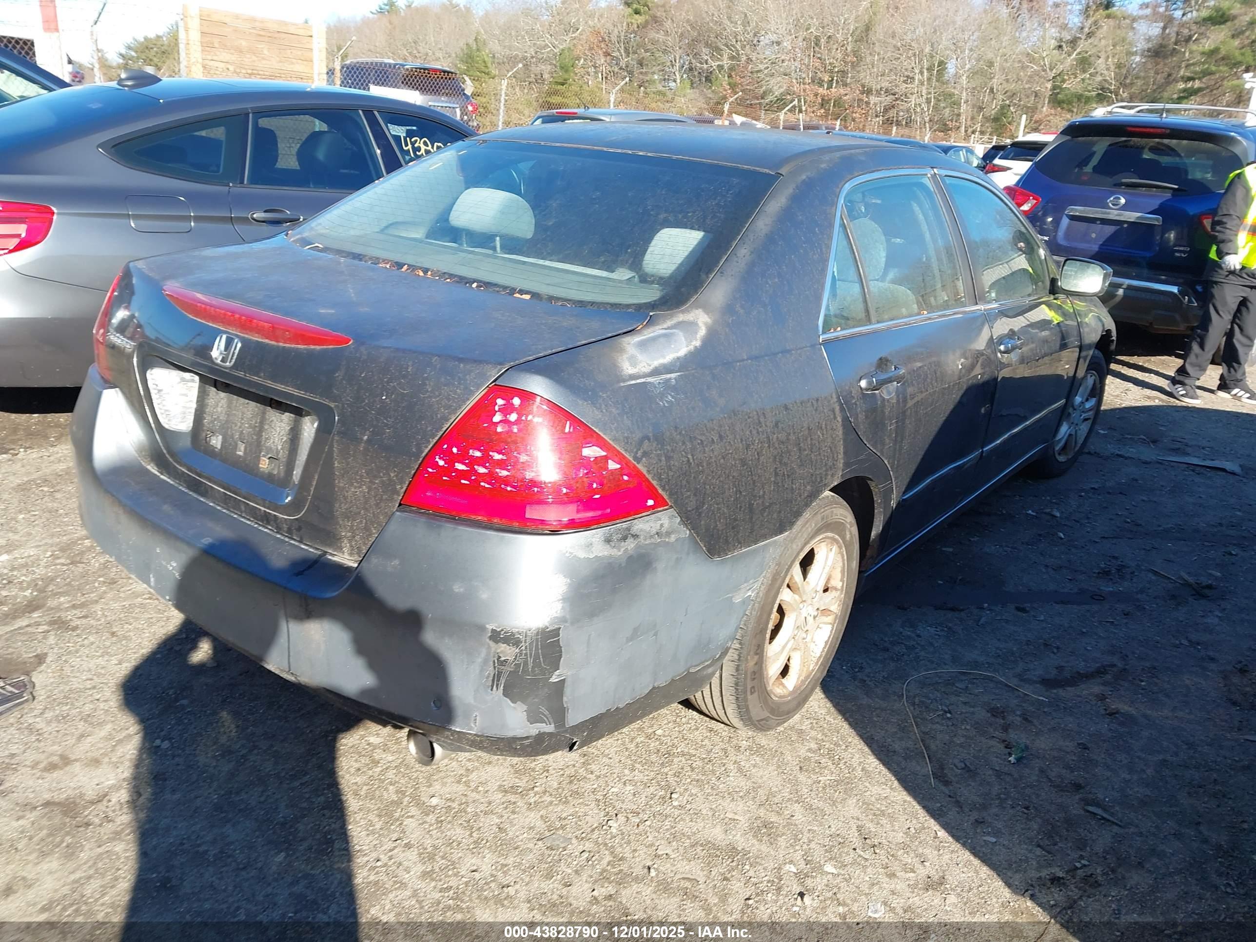 HONDA ACCORD image 4