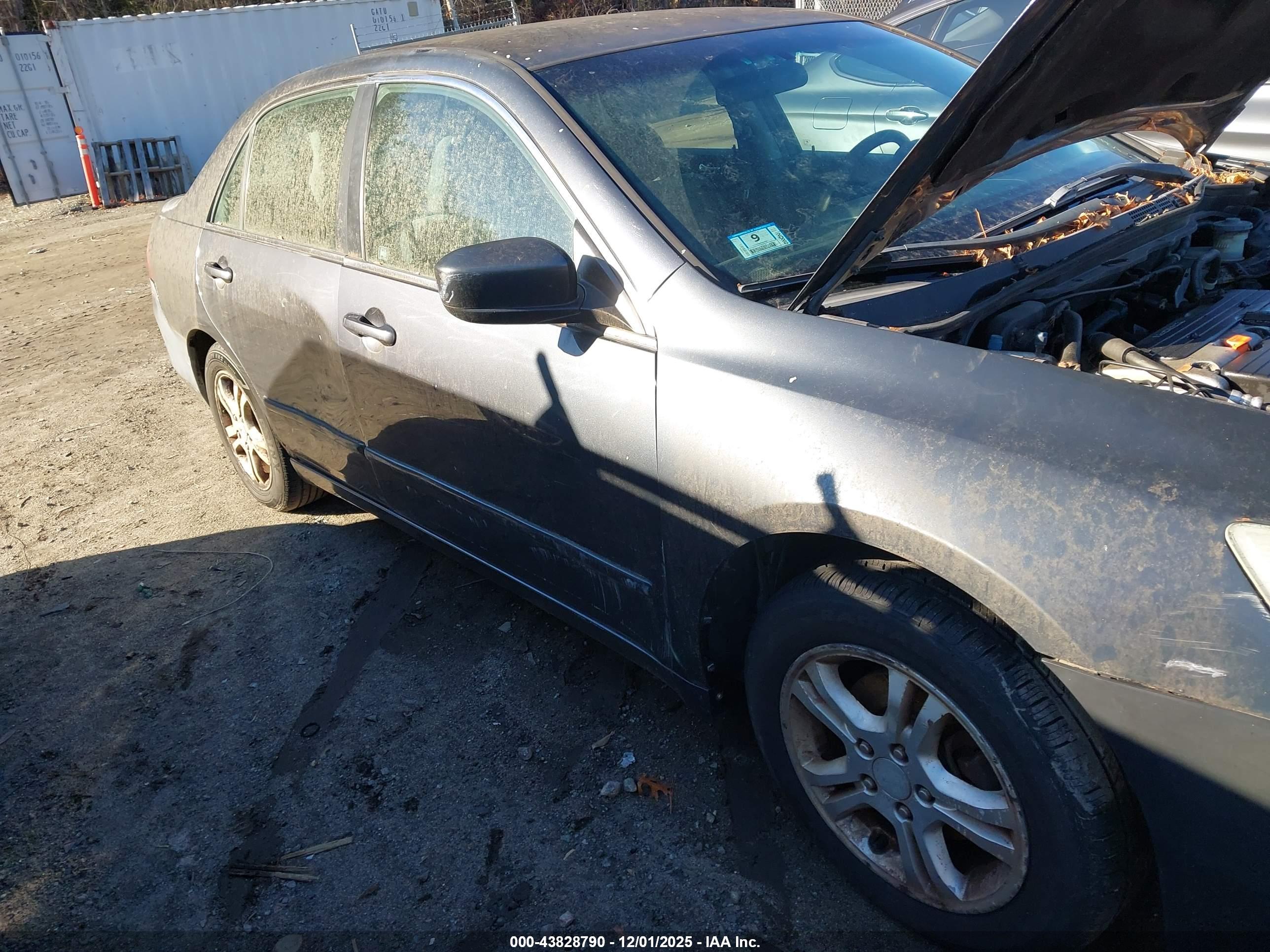 HONDA ACCORD image 6