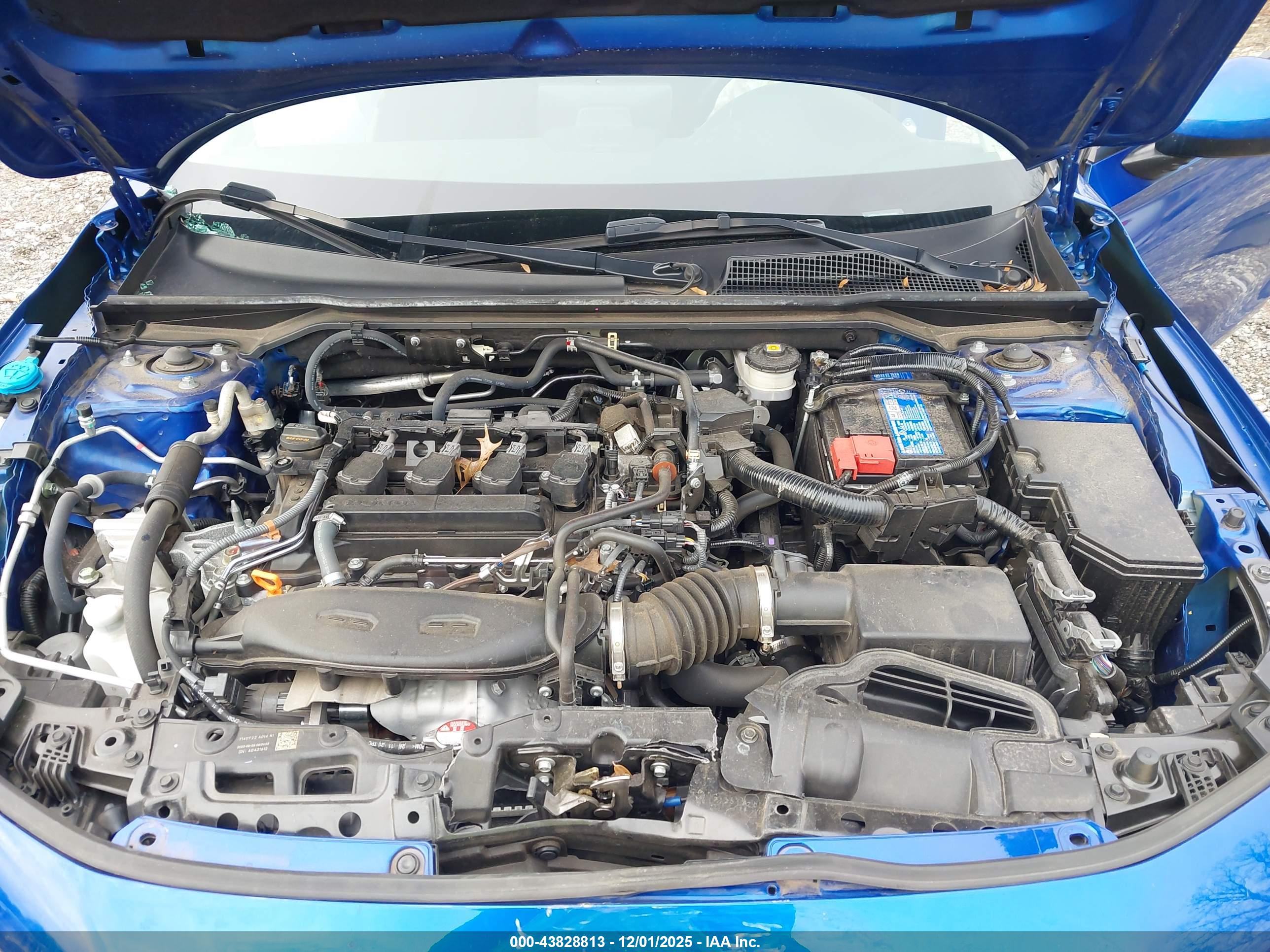 HONDA CIVIC image 10