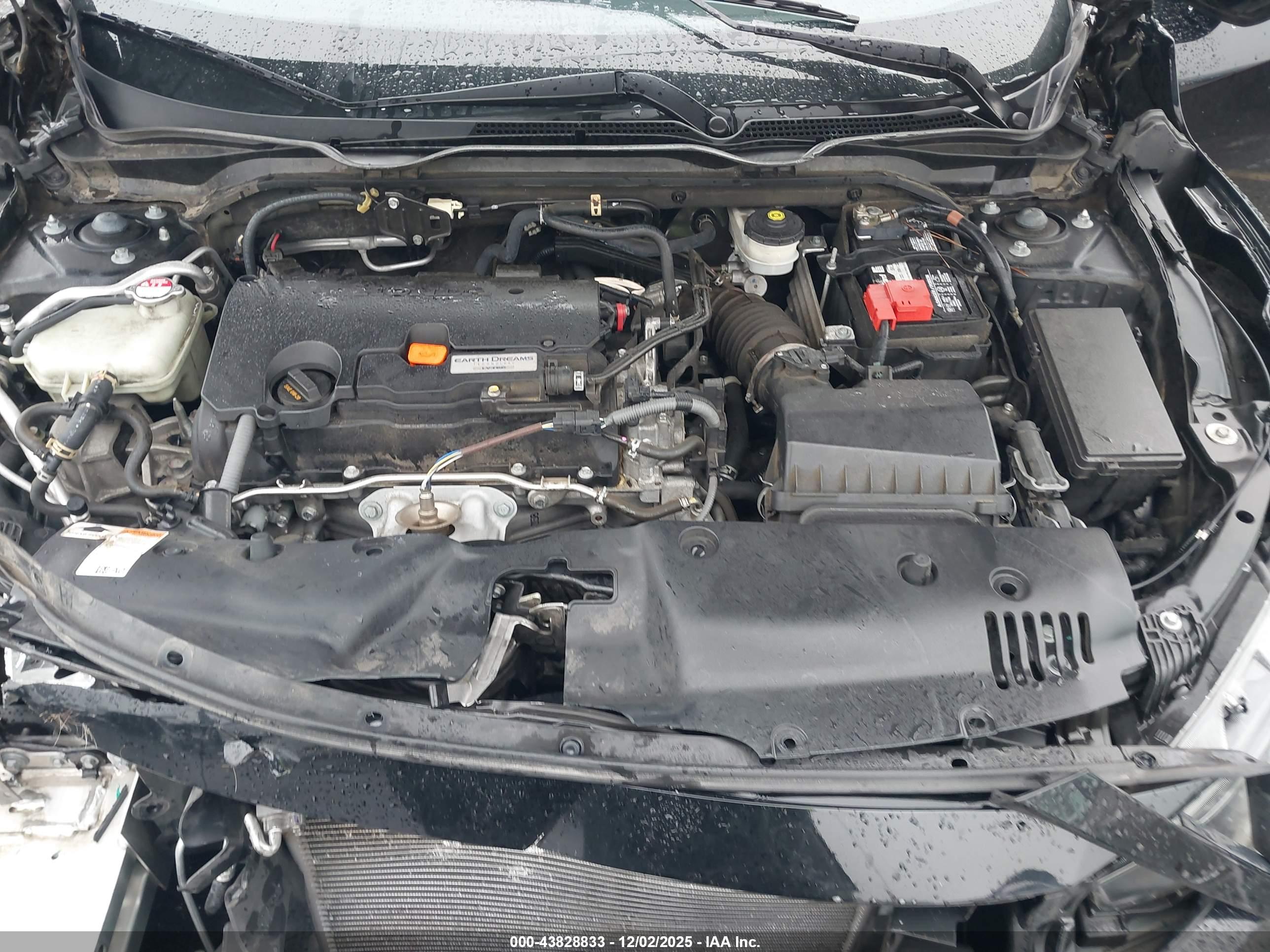 HONDA CIVIC image 10
