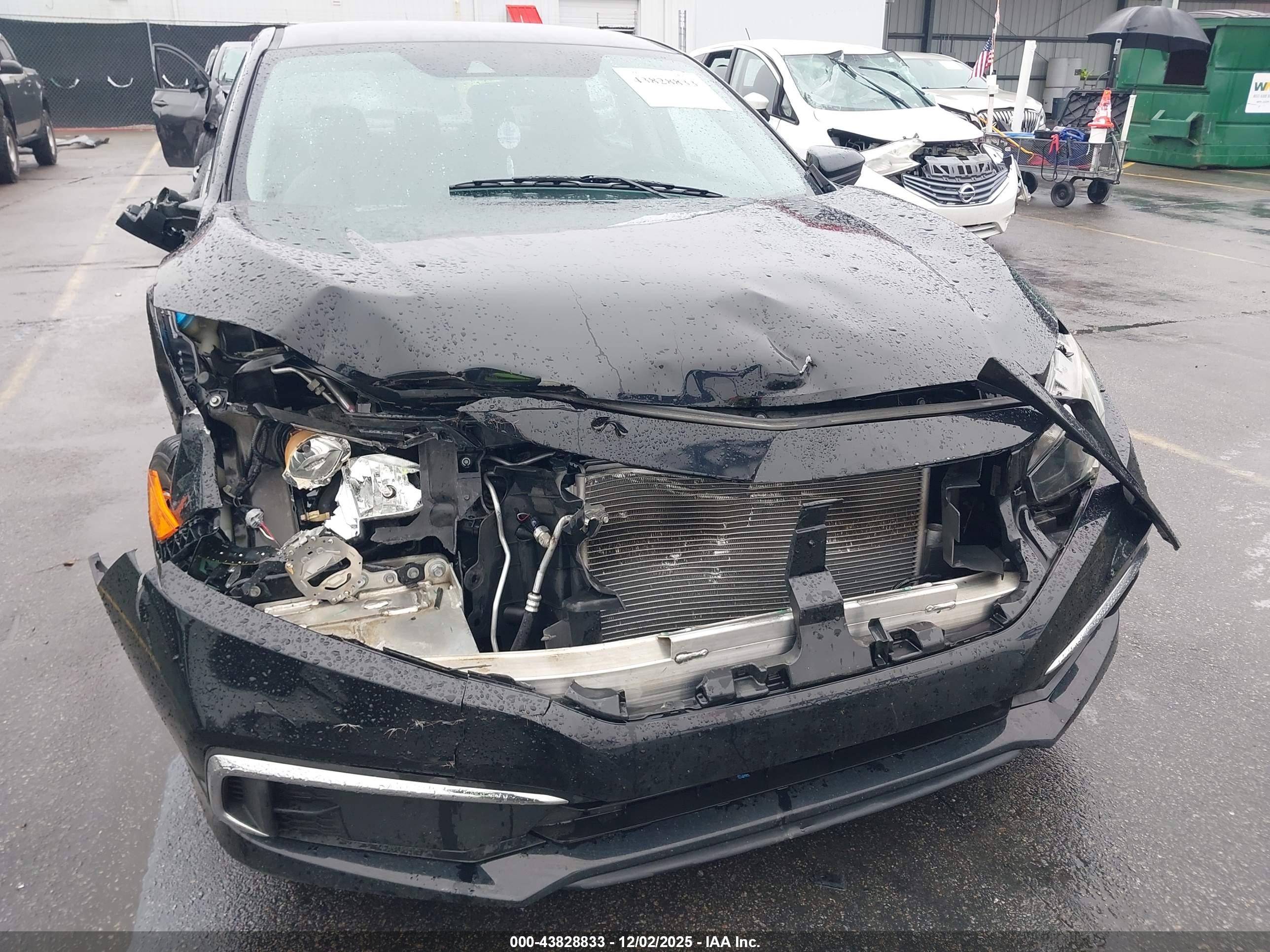HONDA CIVIC image 6