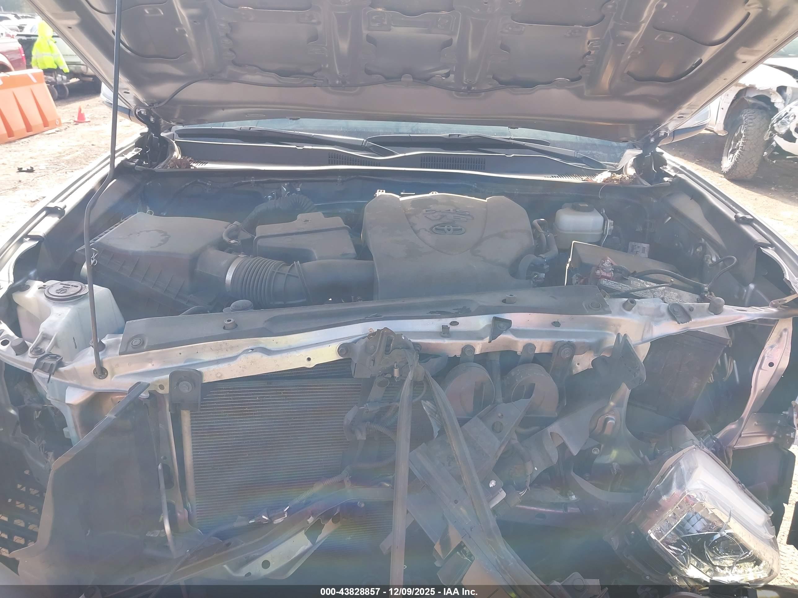 TOYOTA TACOMA image 10