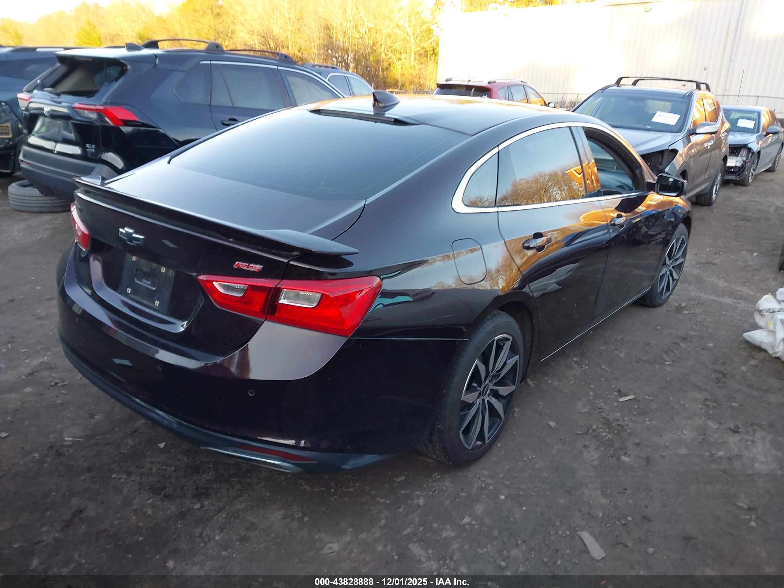 CHEVROLET MALIBU image 4