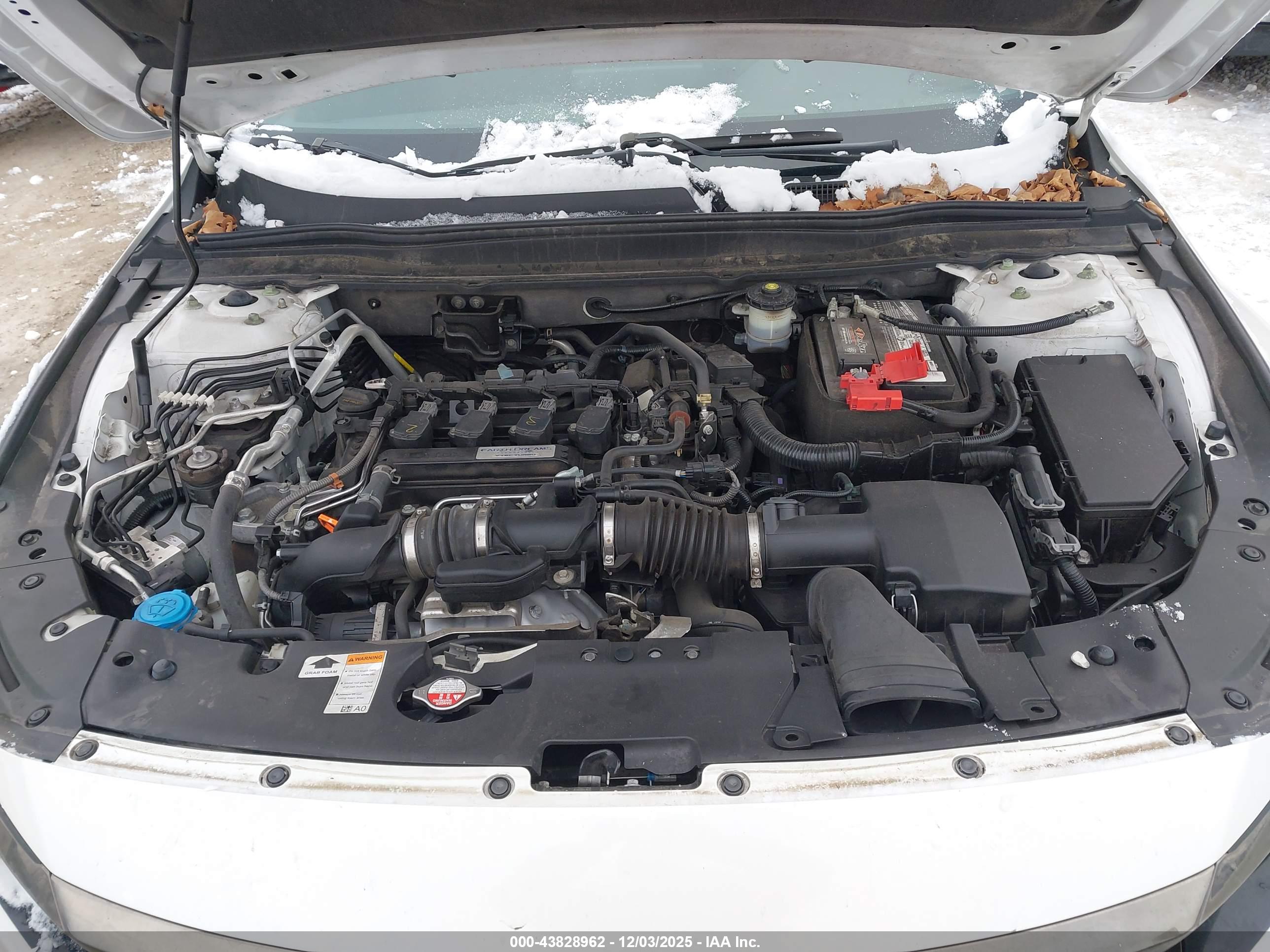 HONDA ACCORD image 10