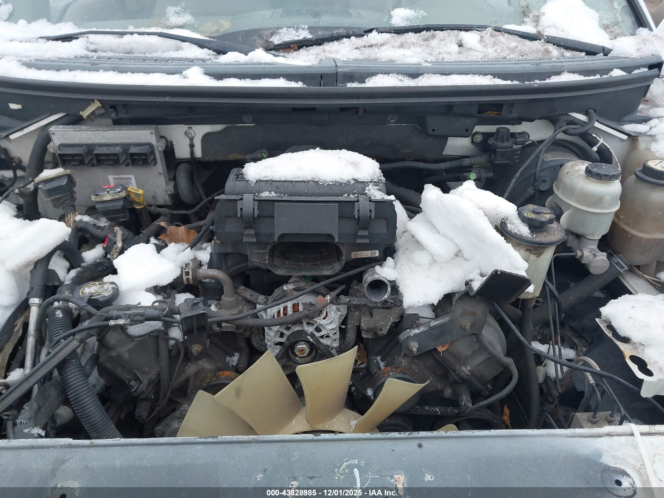 FORD F-150 image 10