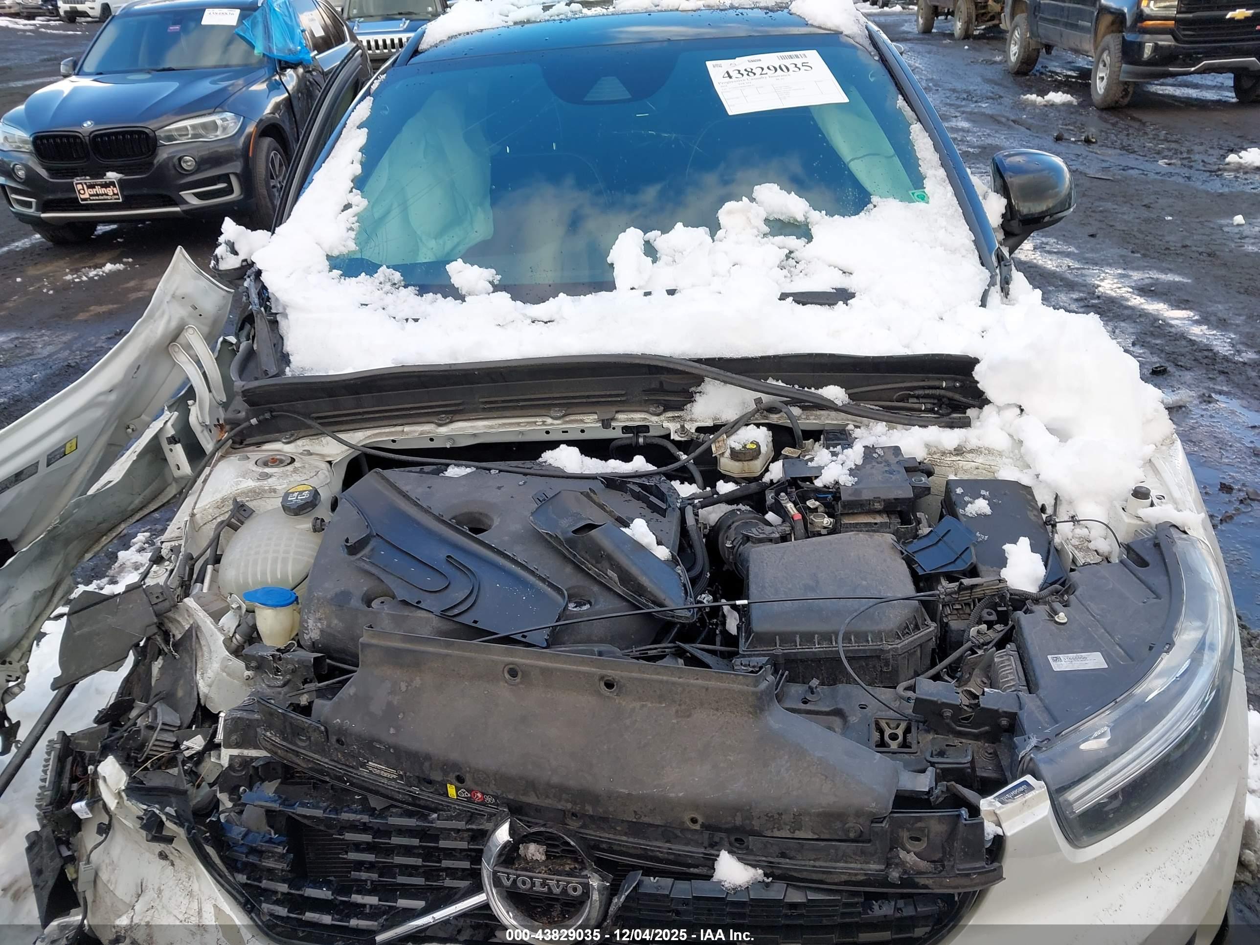 VOLVO XC40 image 10