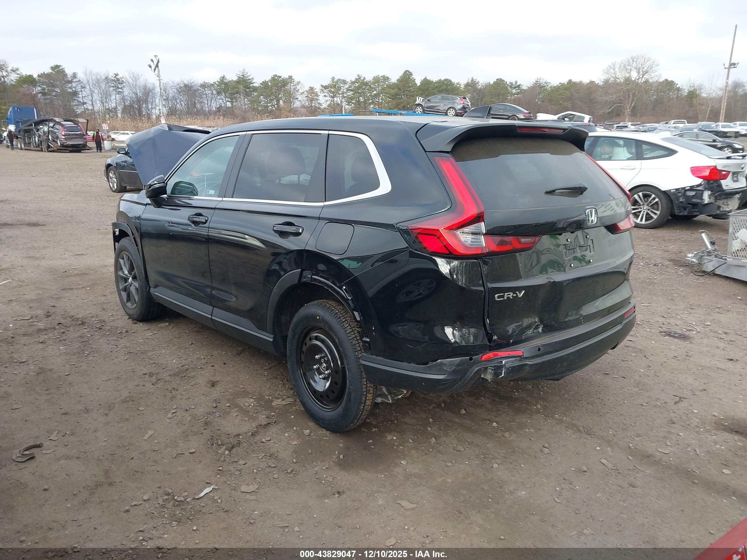 HONDA CR-V image 3