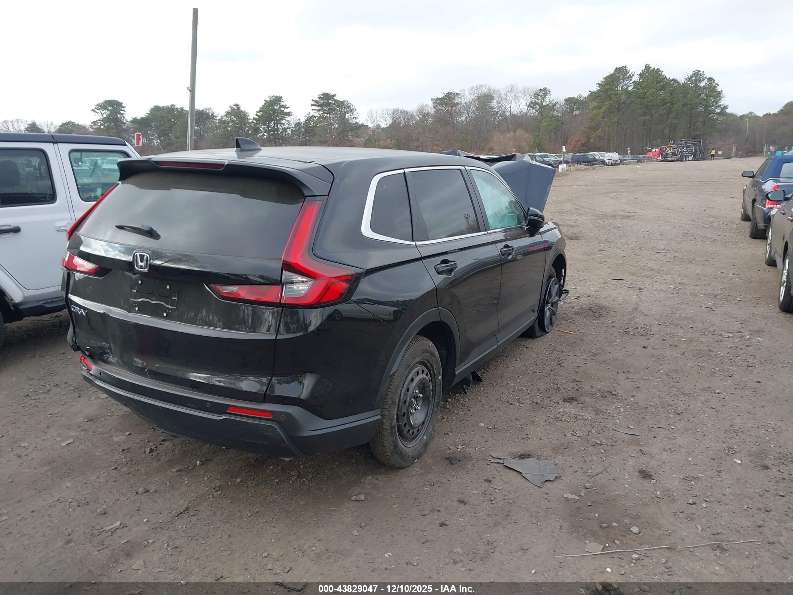 HONDA CR-V image 4