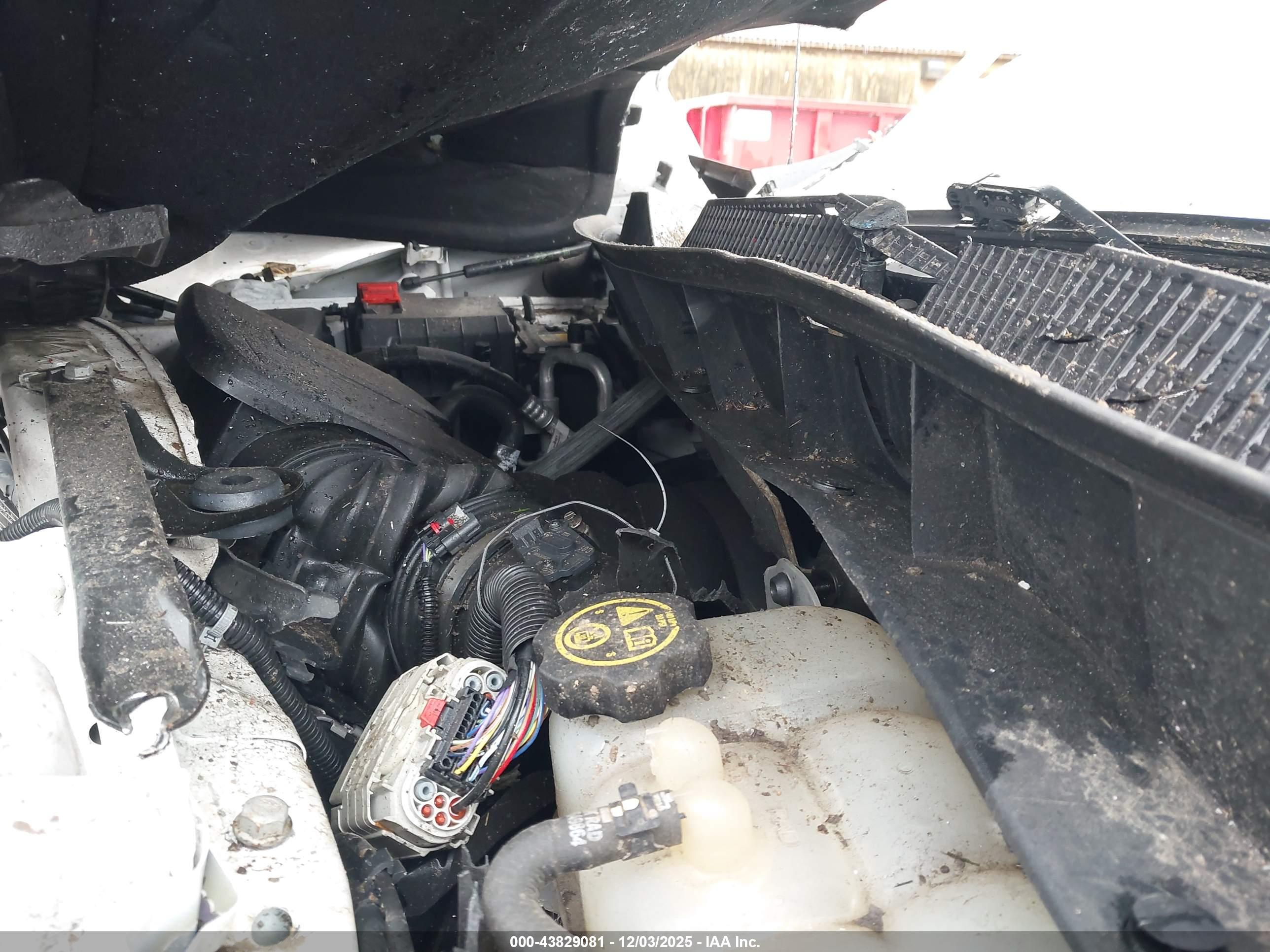 CHEVROLET SILVERADO image 10