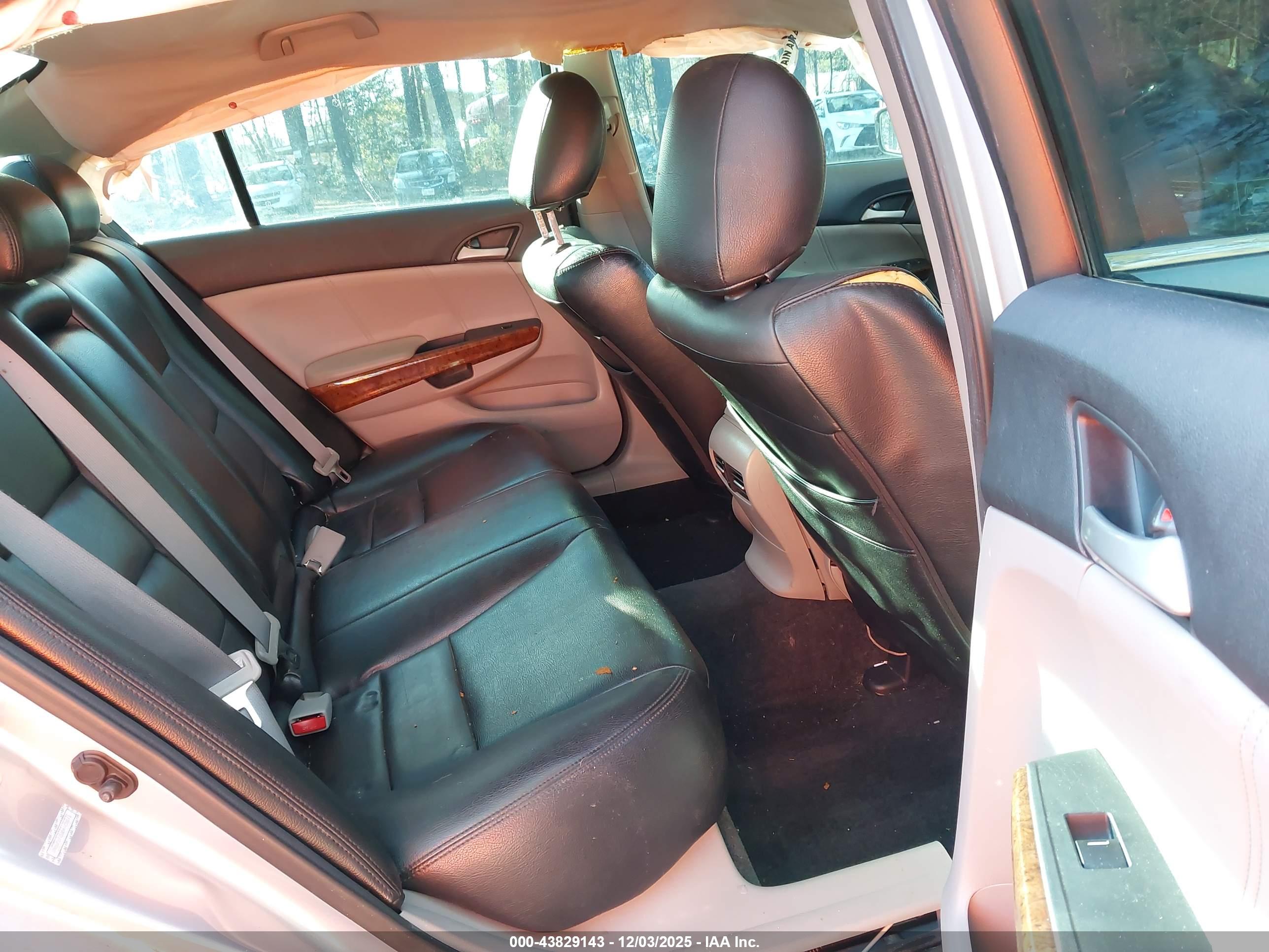 HONDA ACCORD image 8