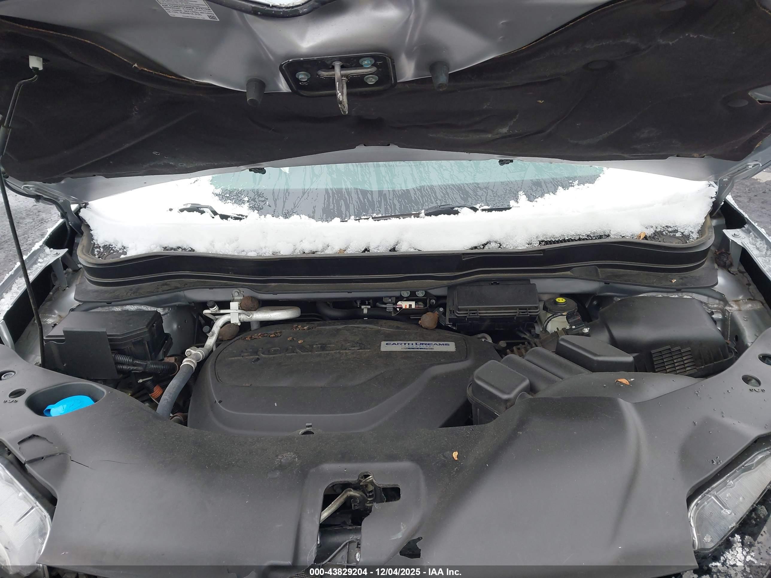 HONDA PASSPORT image 10