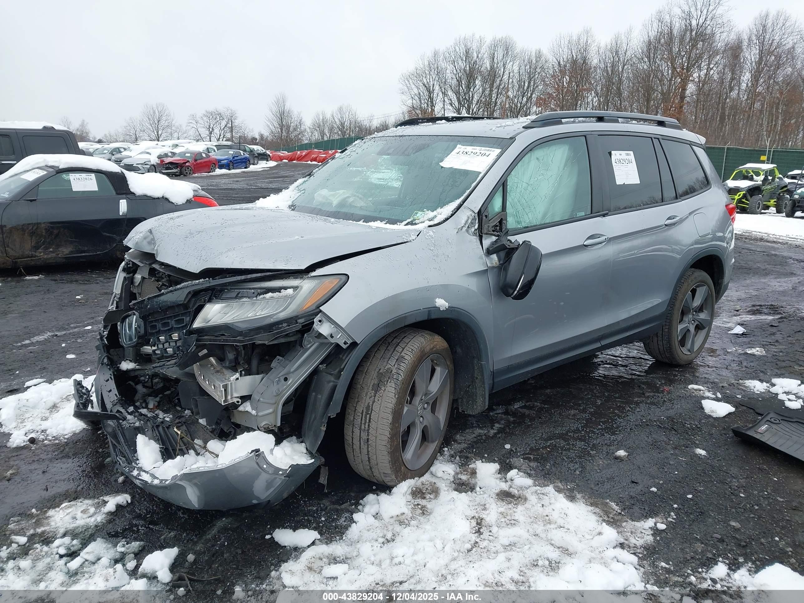 HONDA PASSPORT image 2
