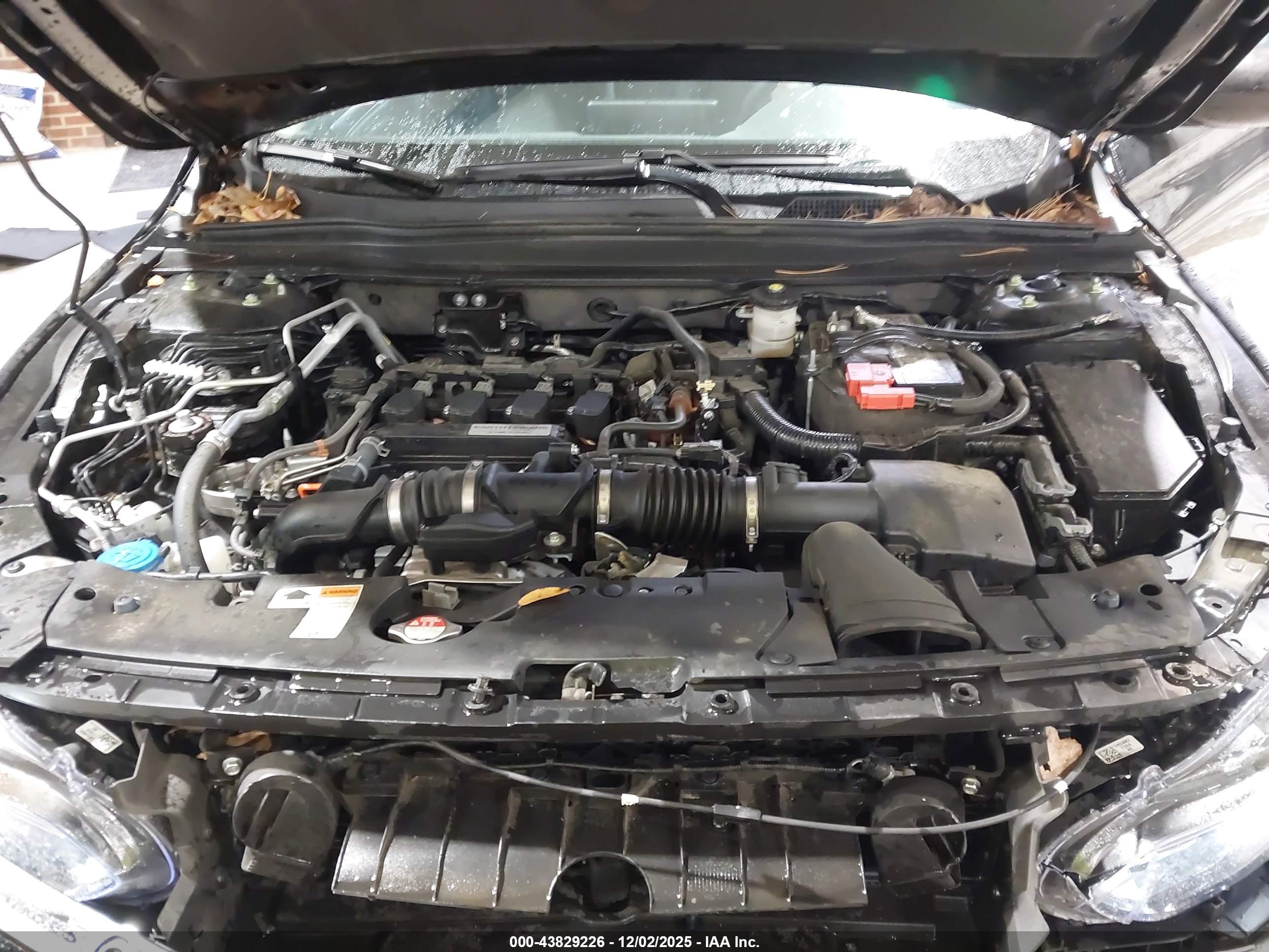 HONDA ACCORD image 10