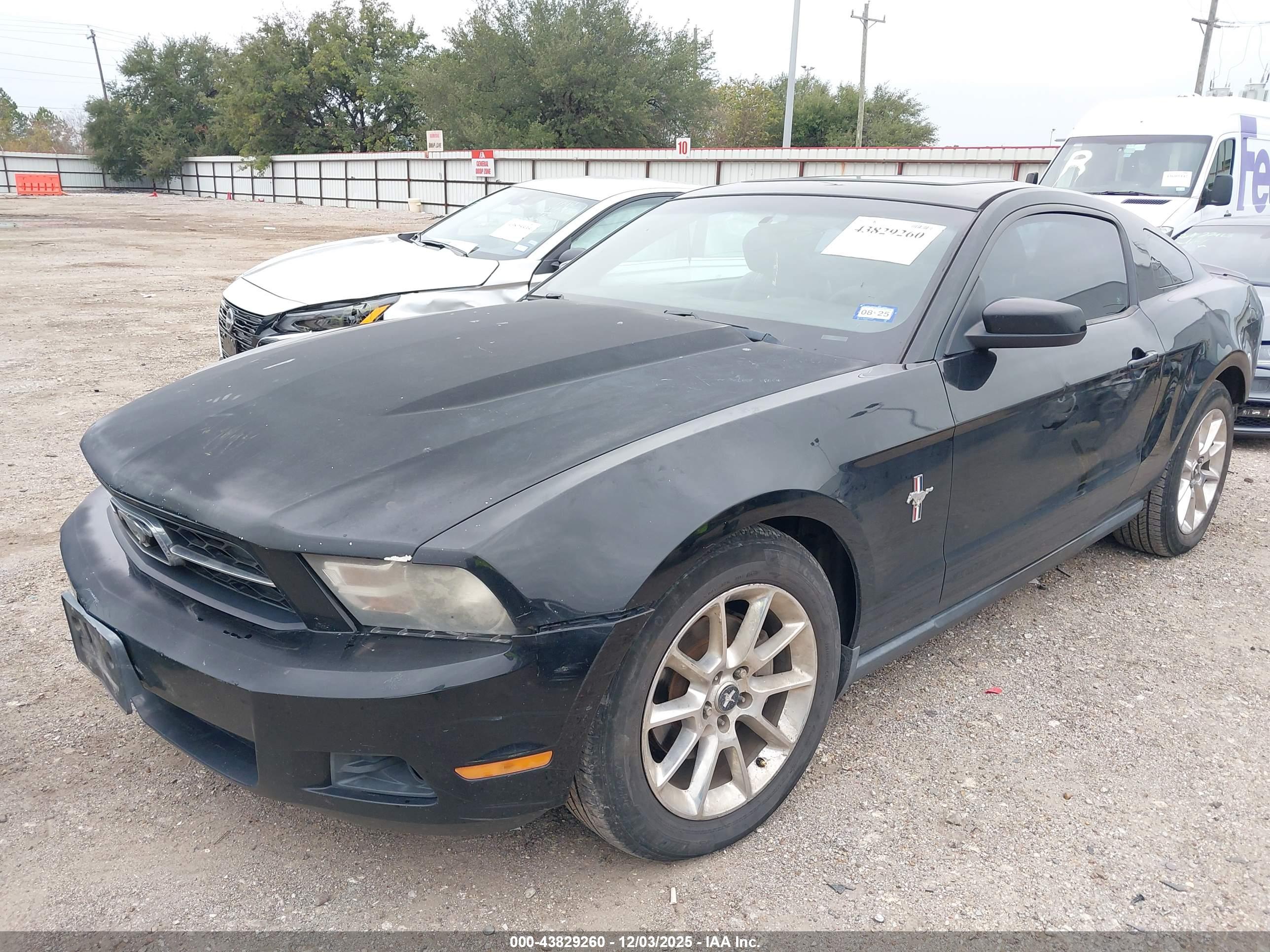 FORD MUSTANG image 2
