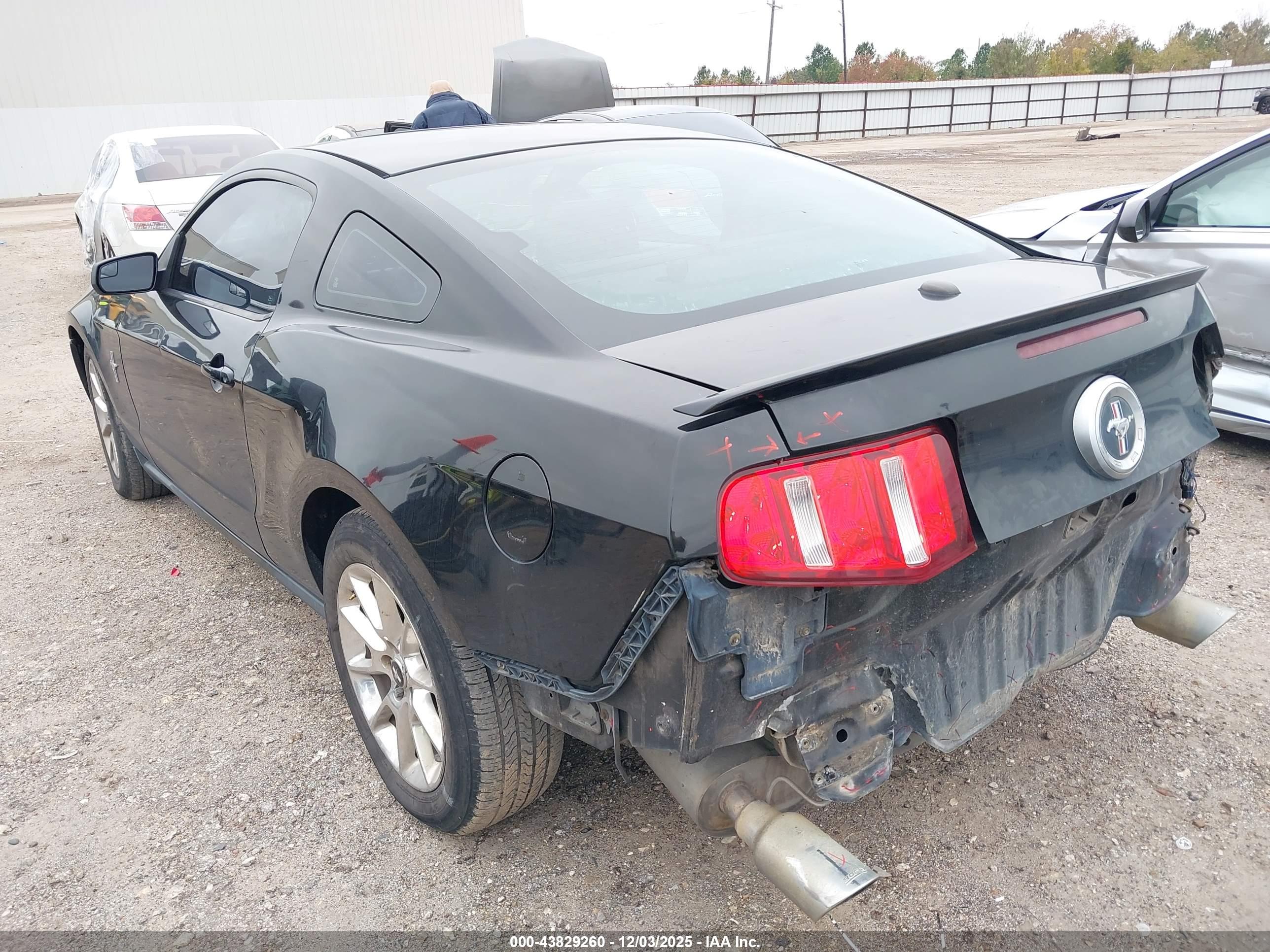 FORD MUSTANG image 3