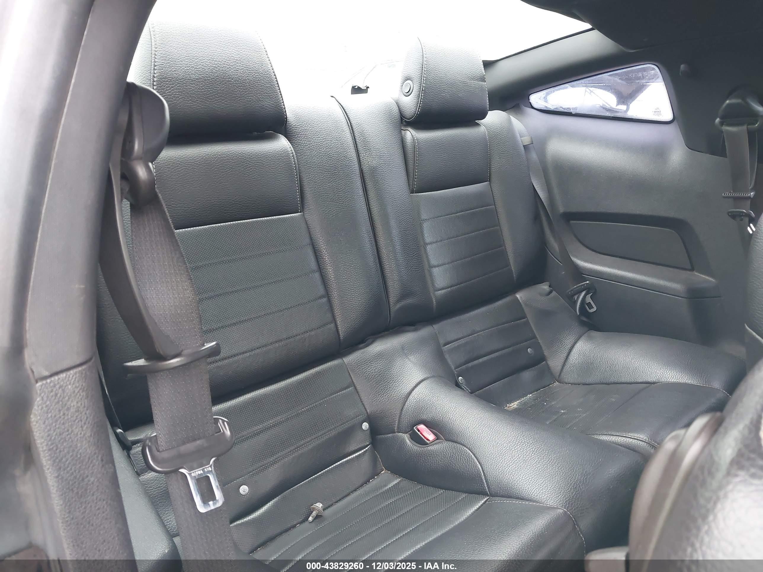 FORD MUSTANG image 8
