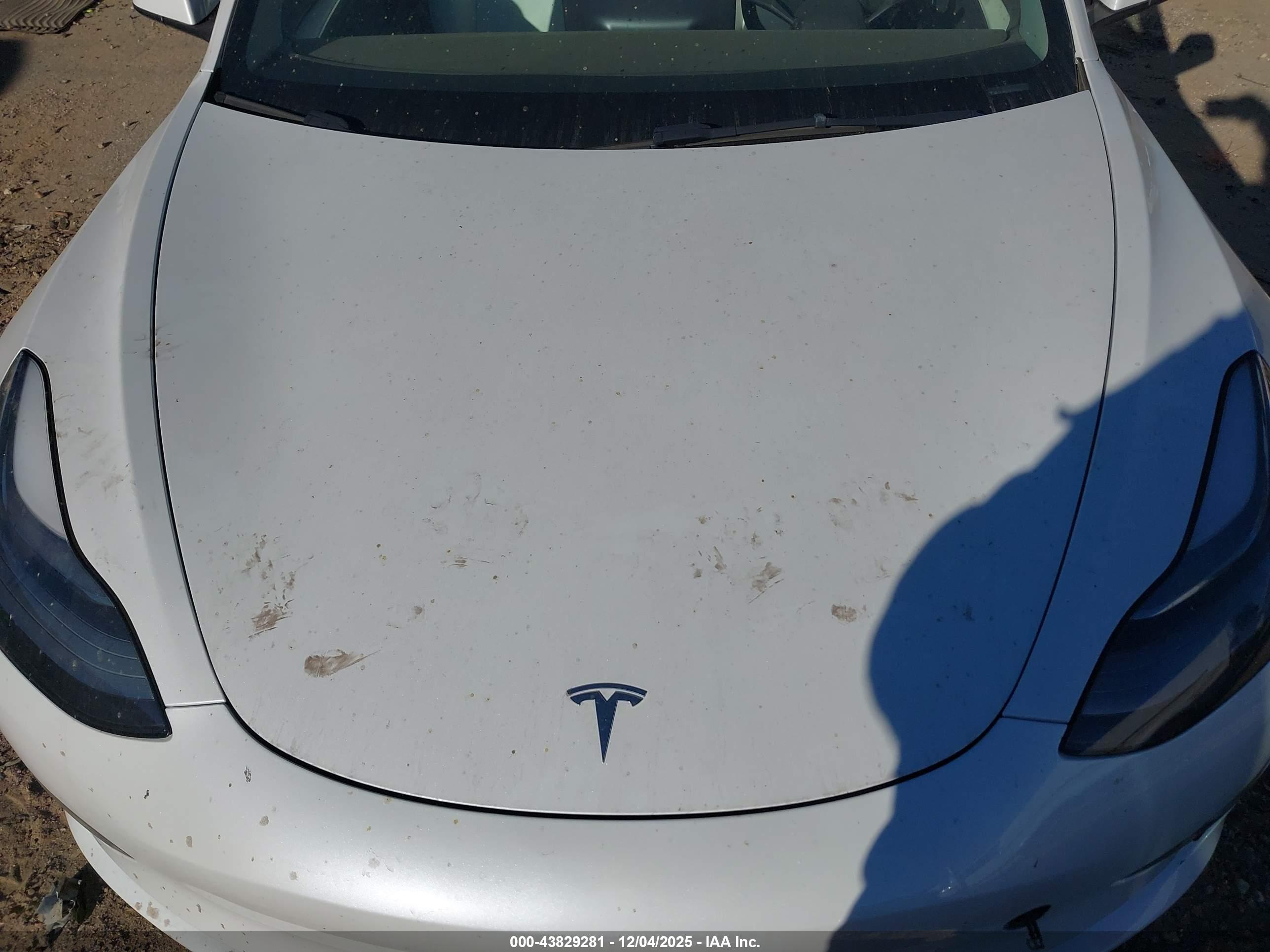 TESLA MODEL image 10