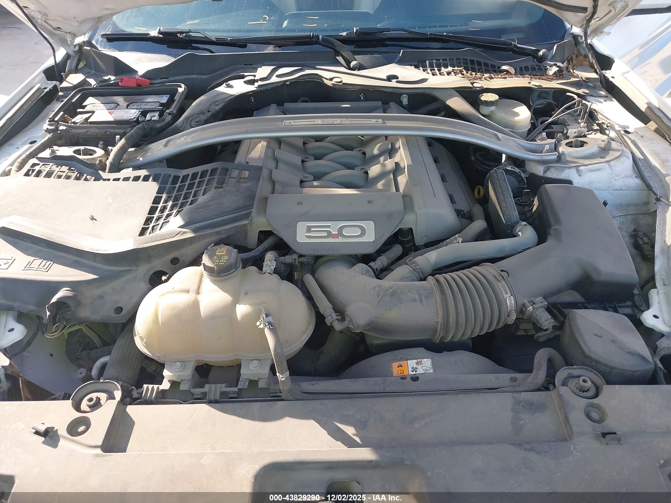FORD MUSTANG image 10