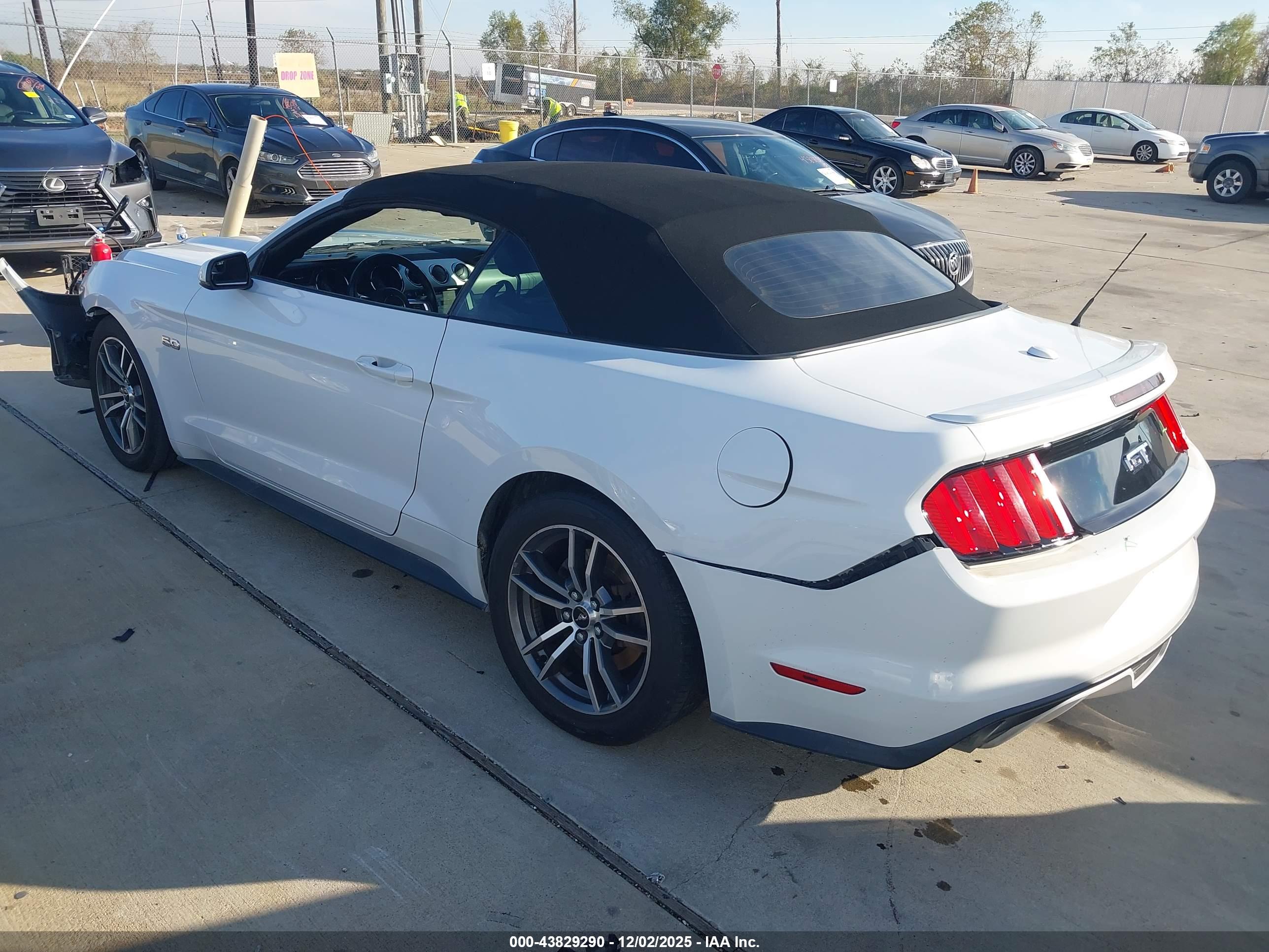 FORD MUSTANG image 3