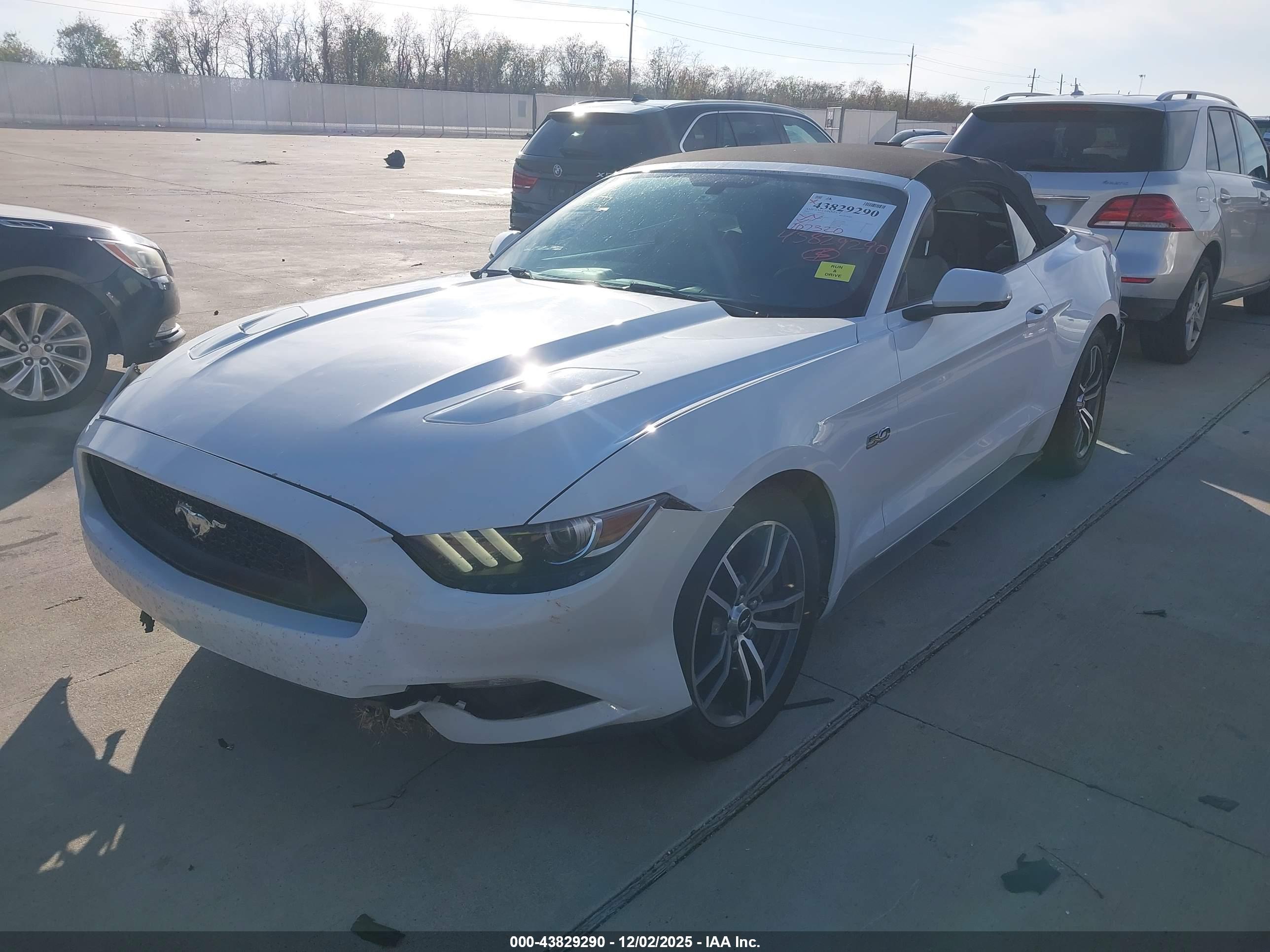 FORD MUSTANG image 6