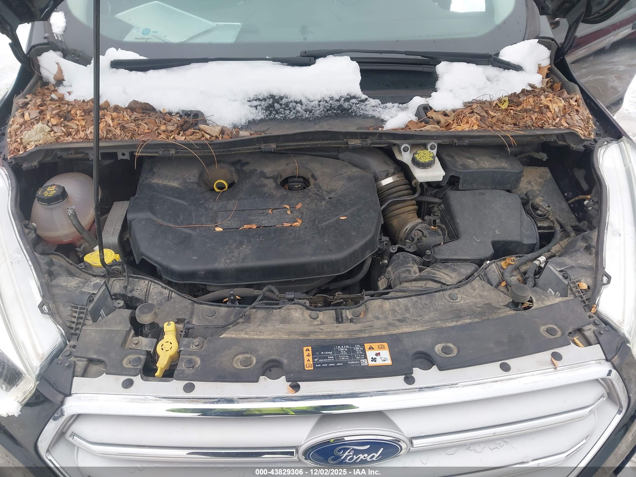 FORD ESCAPE image 10