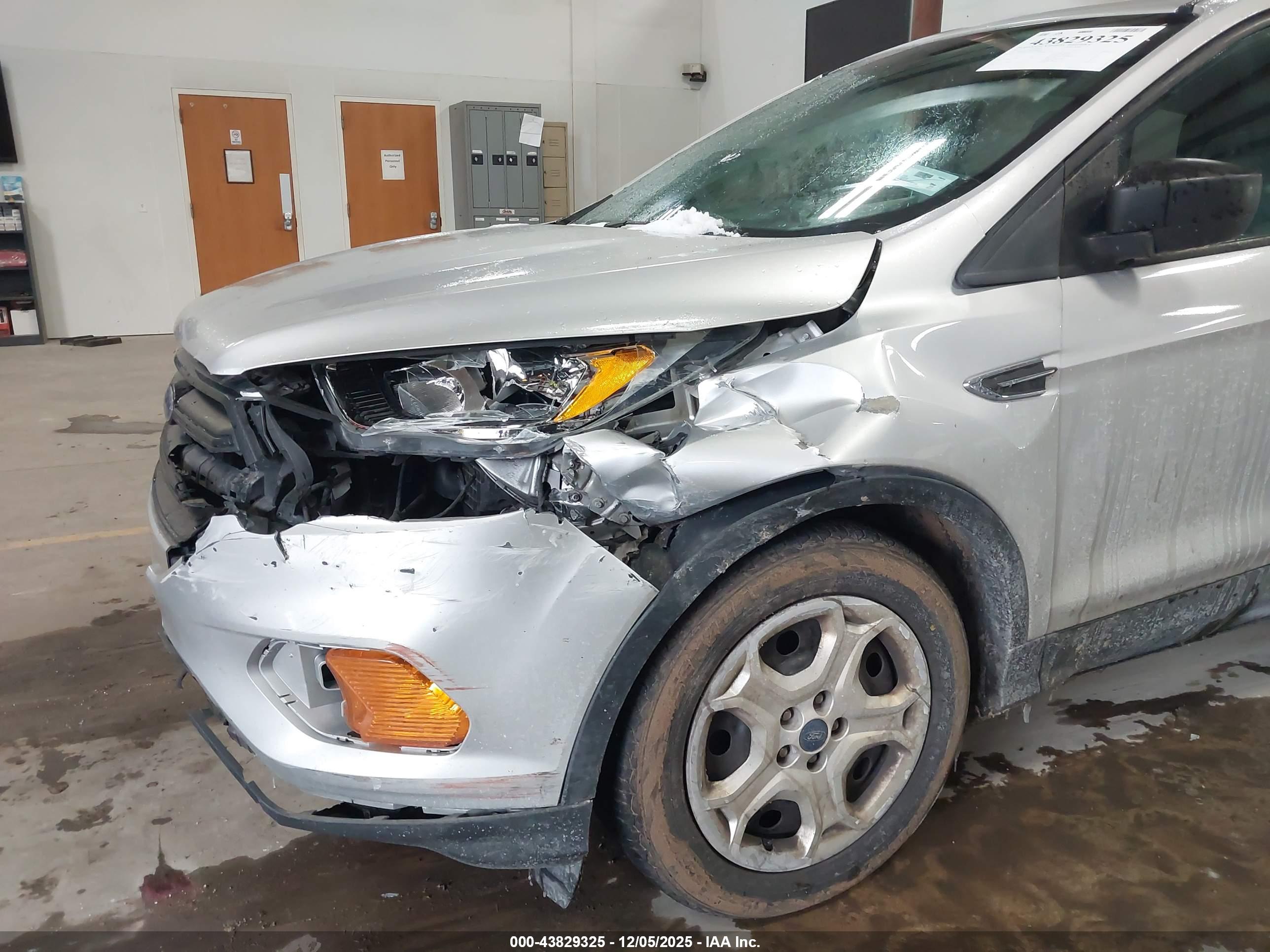 FORD ESCAPE image 6