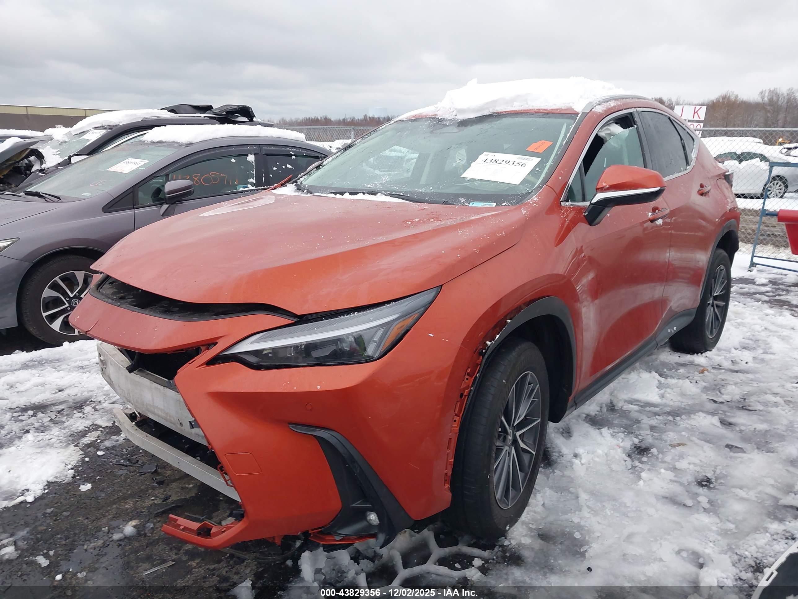 LEXUS NX image 2