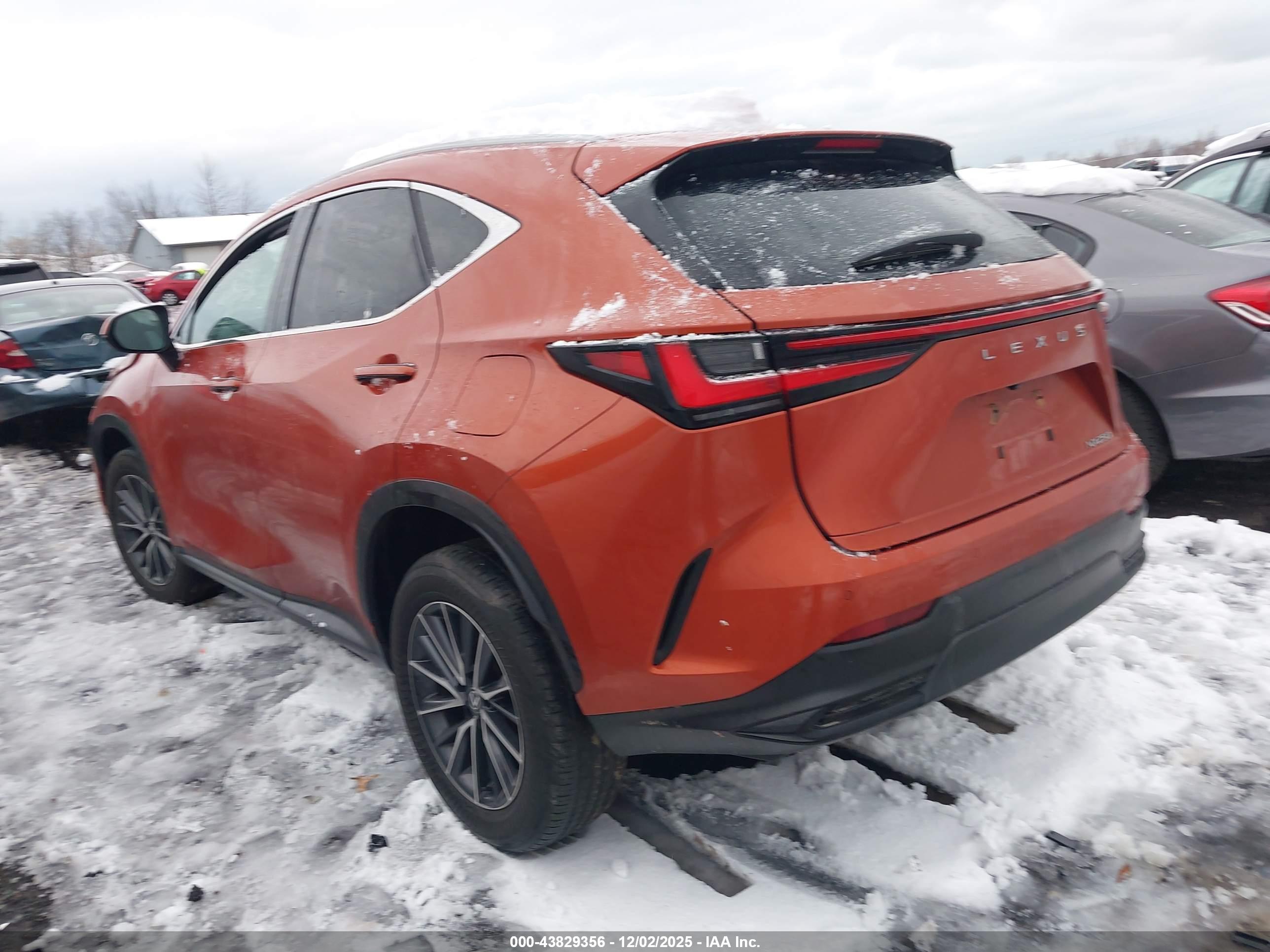 LEXUS NX image 3