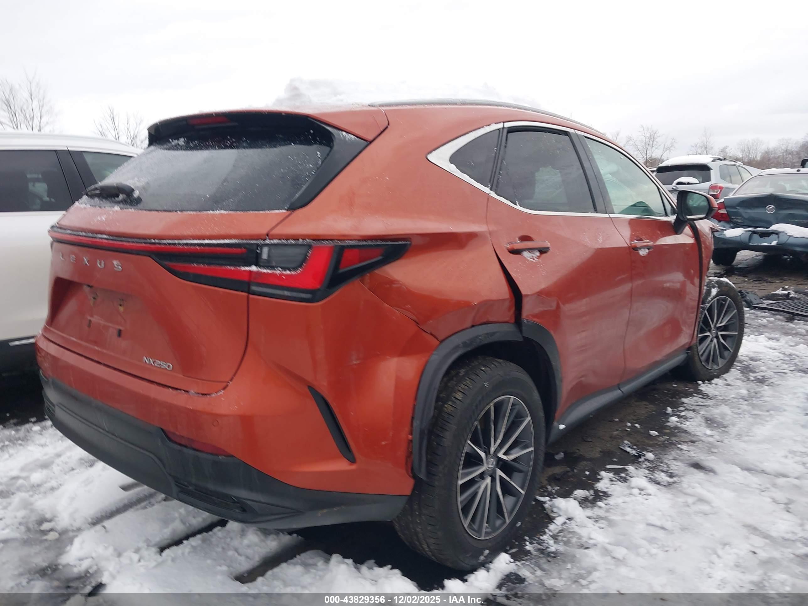 LEXUS NX image 4