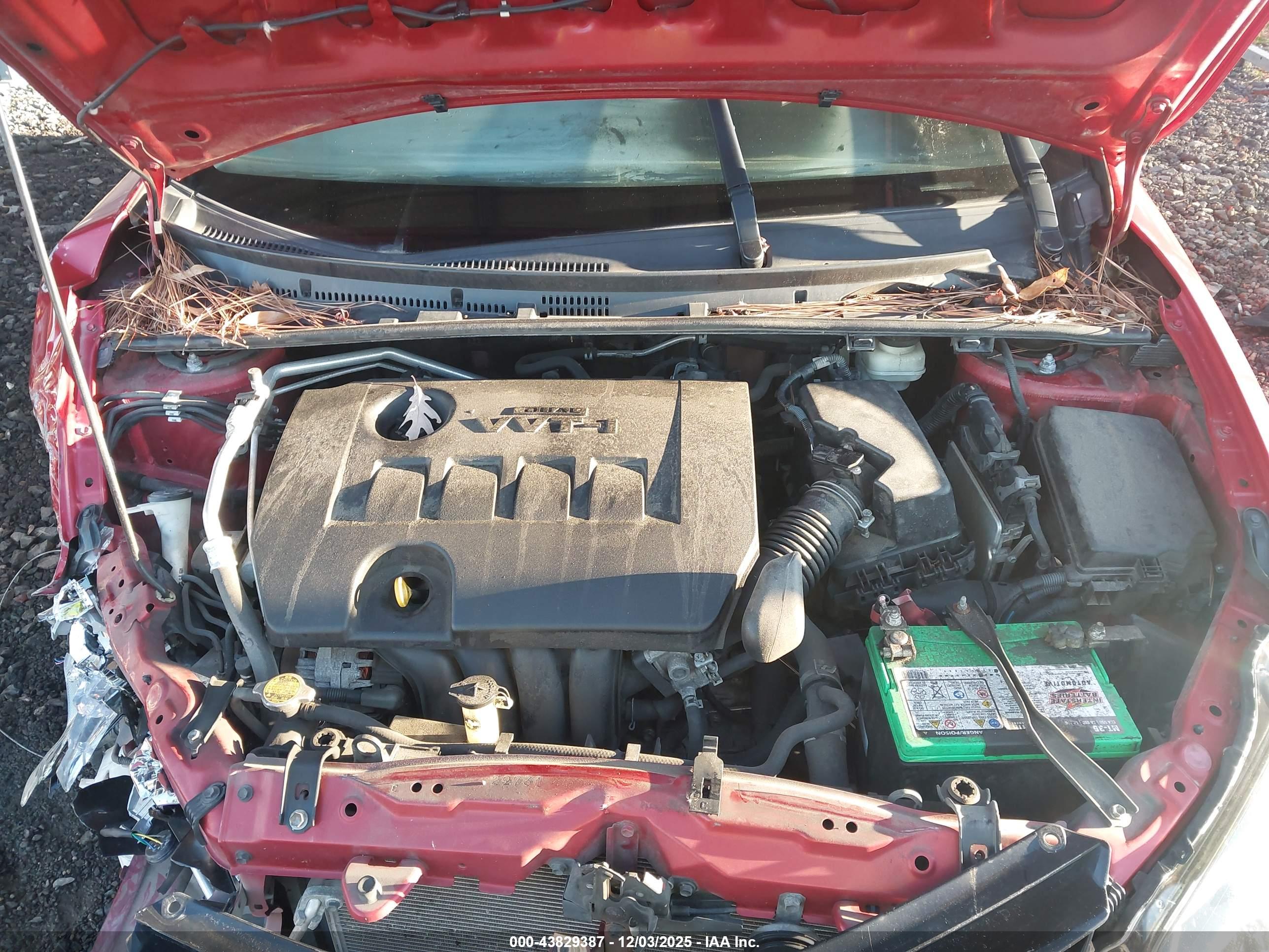 TOYOTA COROLLA image 10