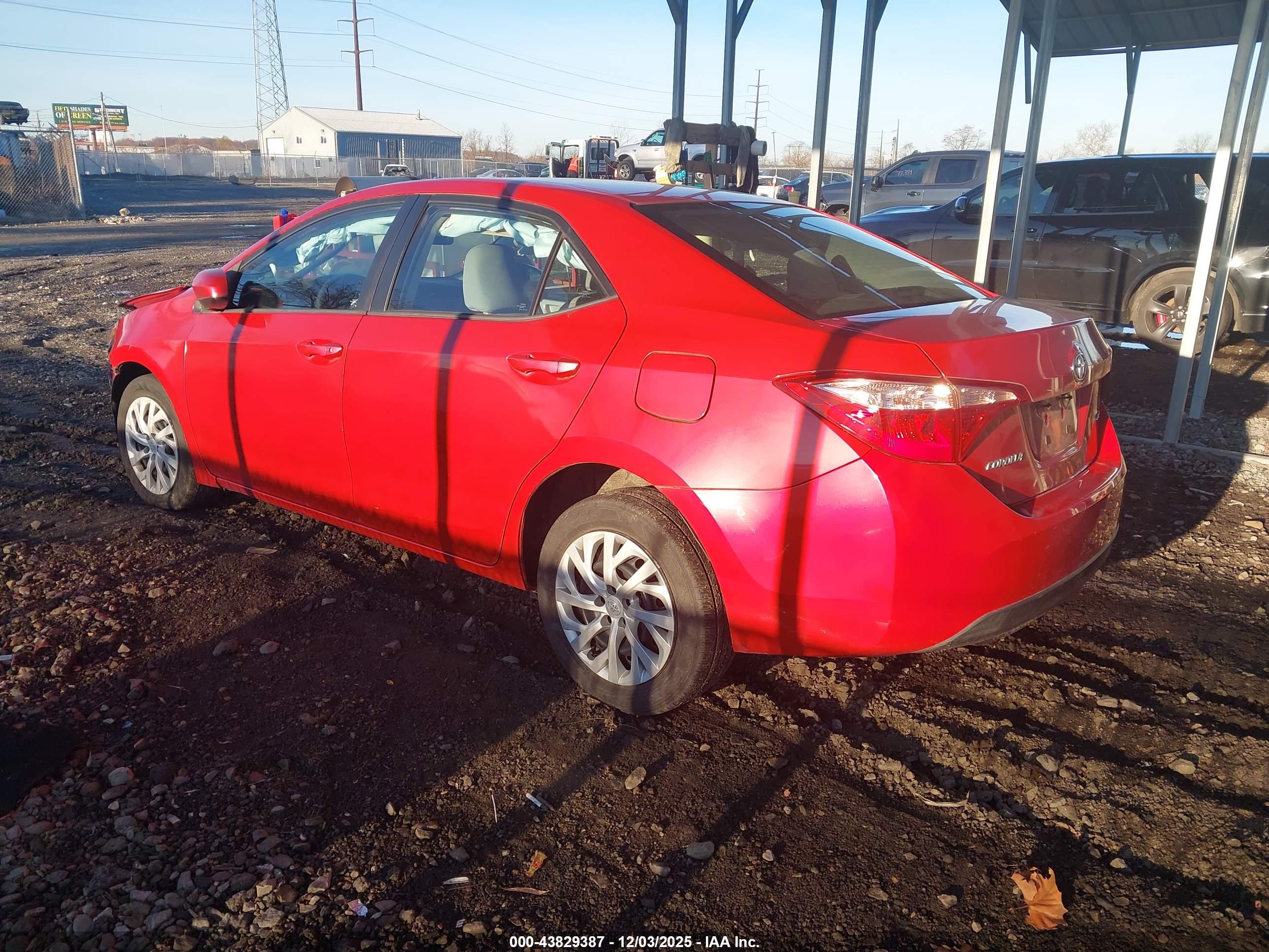 TOYOTA COROLLA image 3
