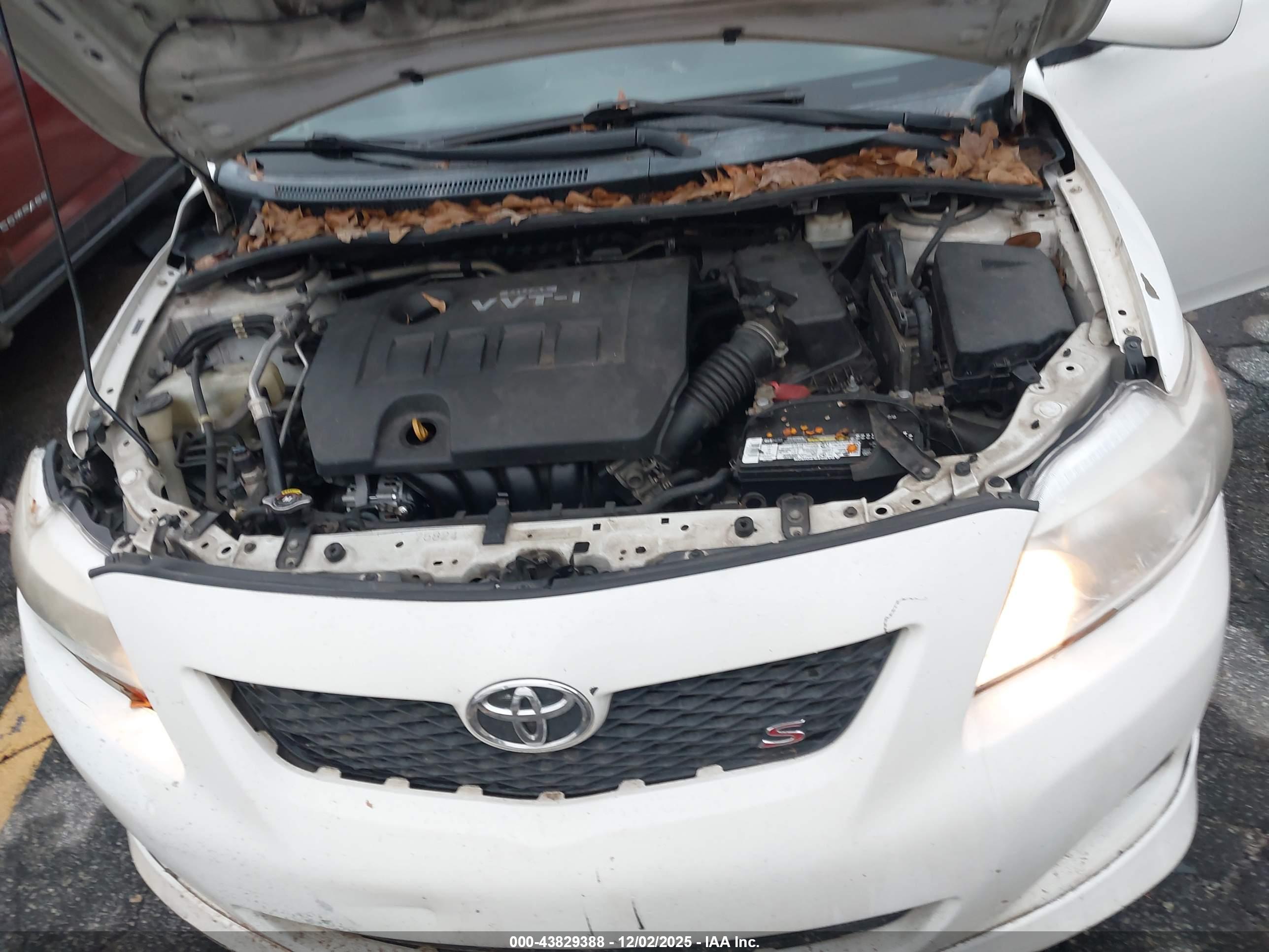 TOYOTA COROLLA image 10