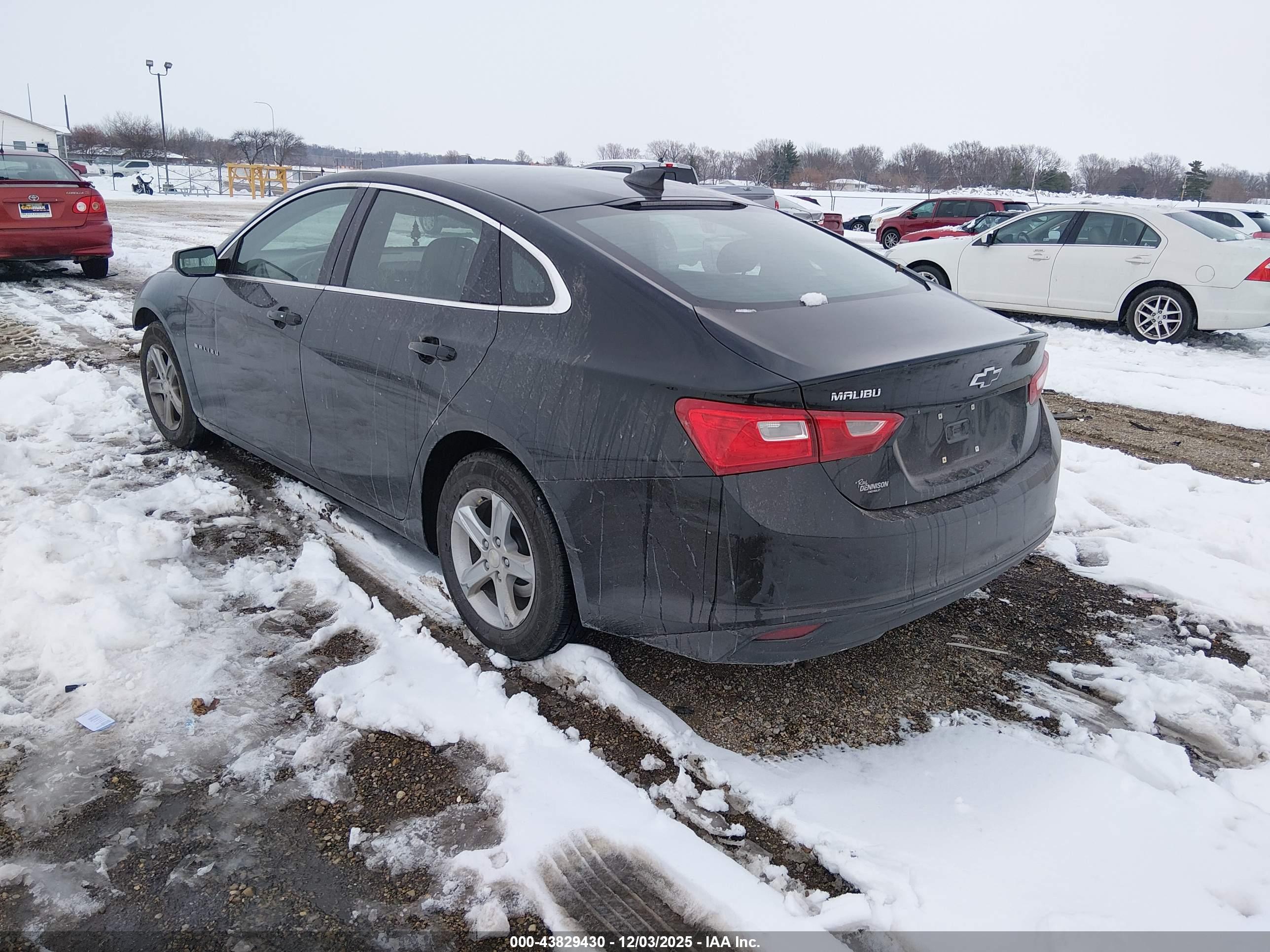 CHEVROLET MALIBU image 3