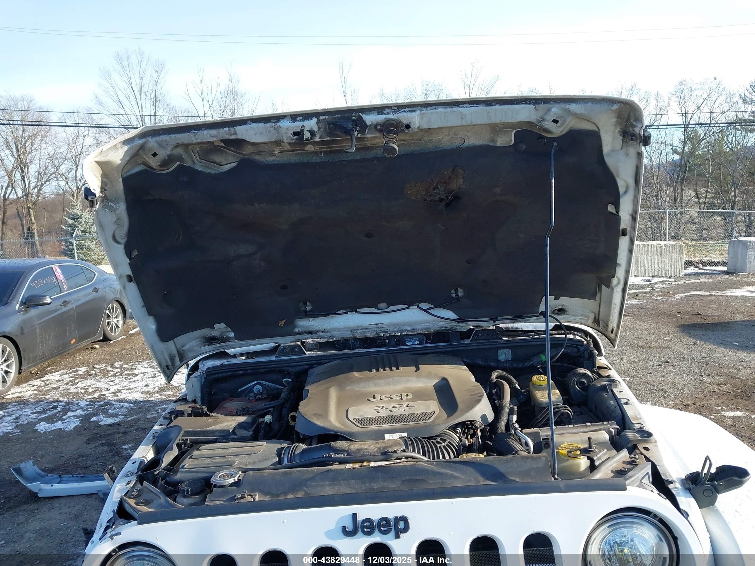 JEEP WRANGLER image 10