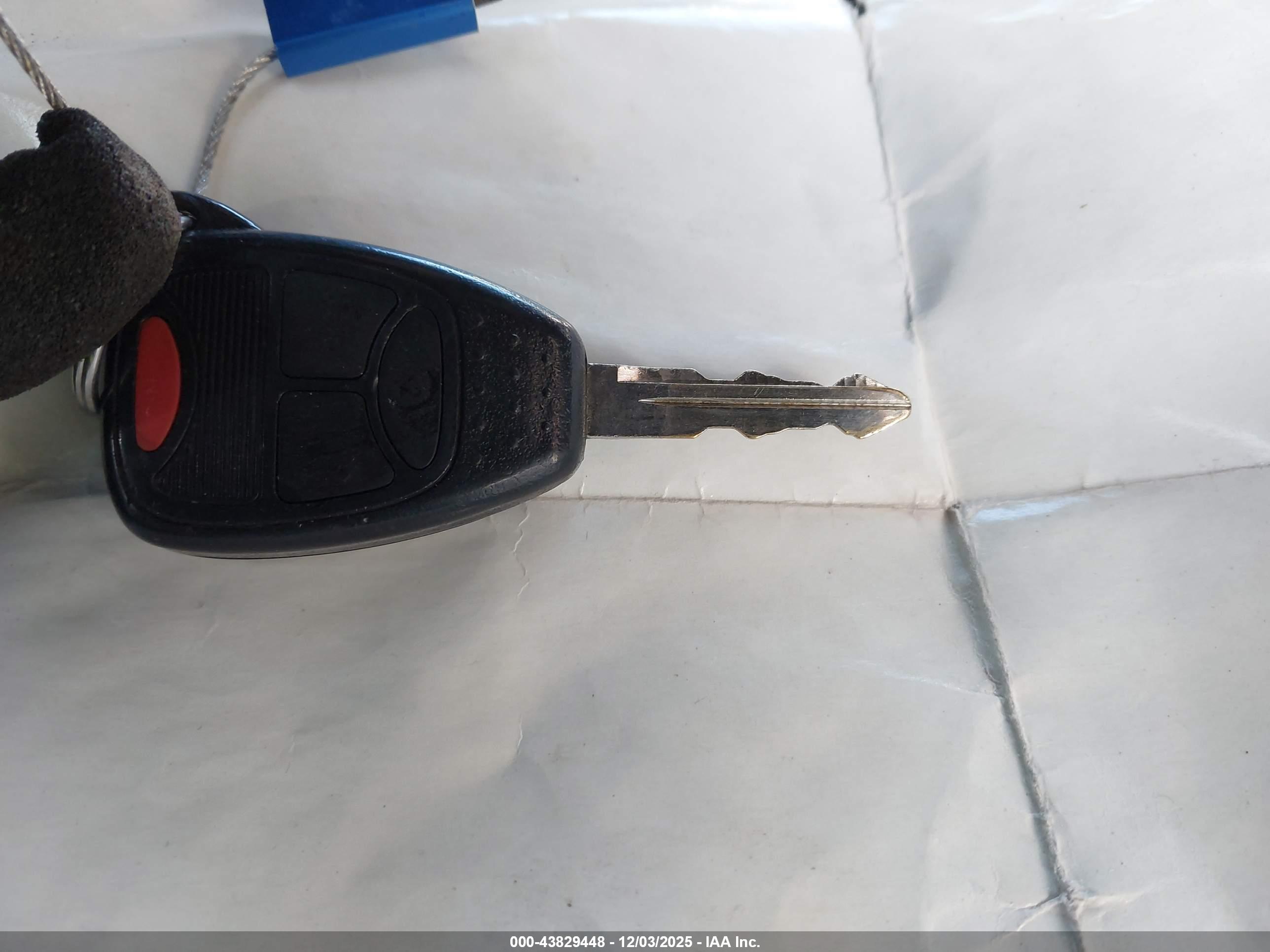 JEEP WRANGLER image 11