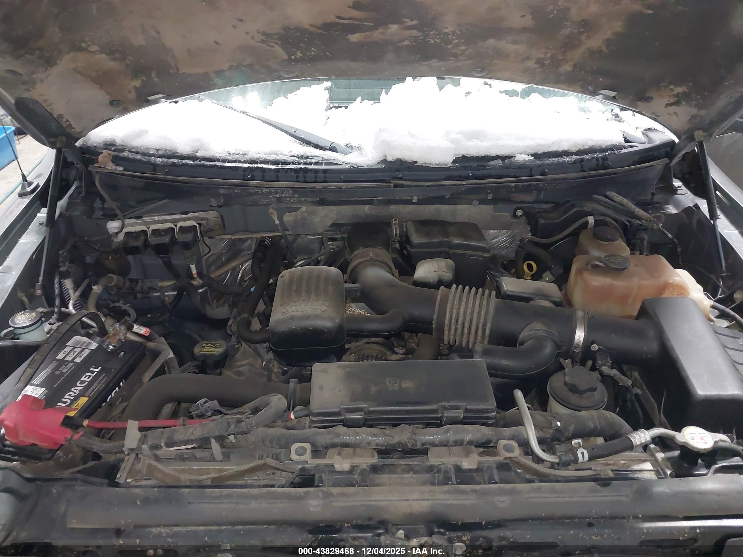 FORD F-150 image 10