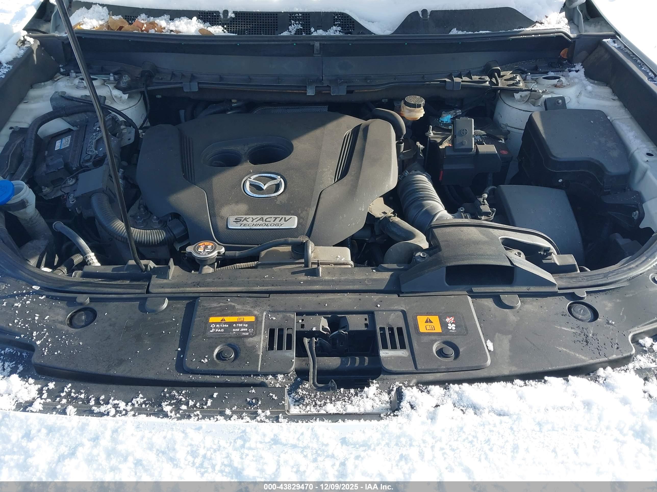 MAZDA CX-9 image 10