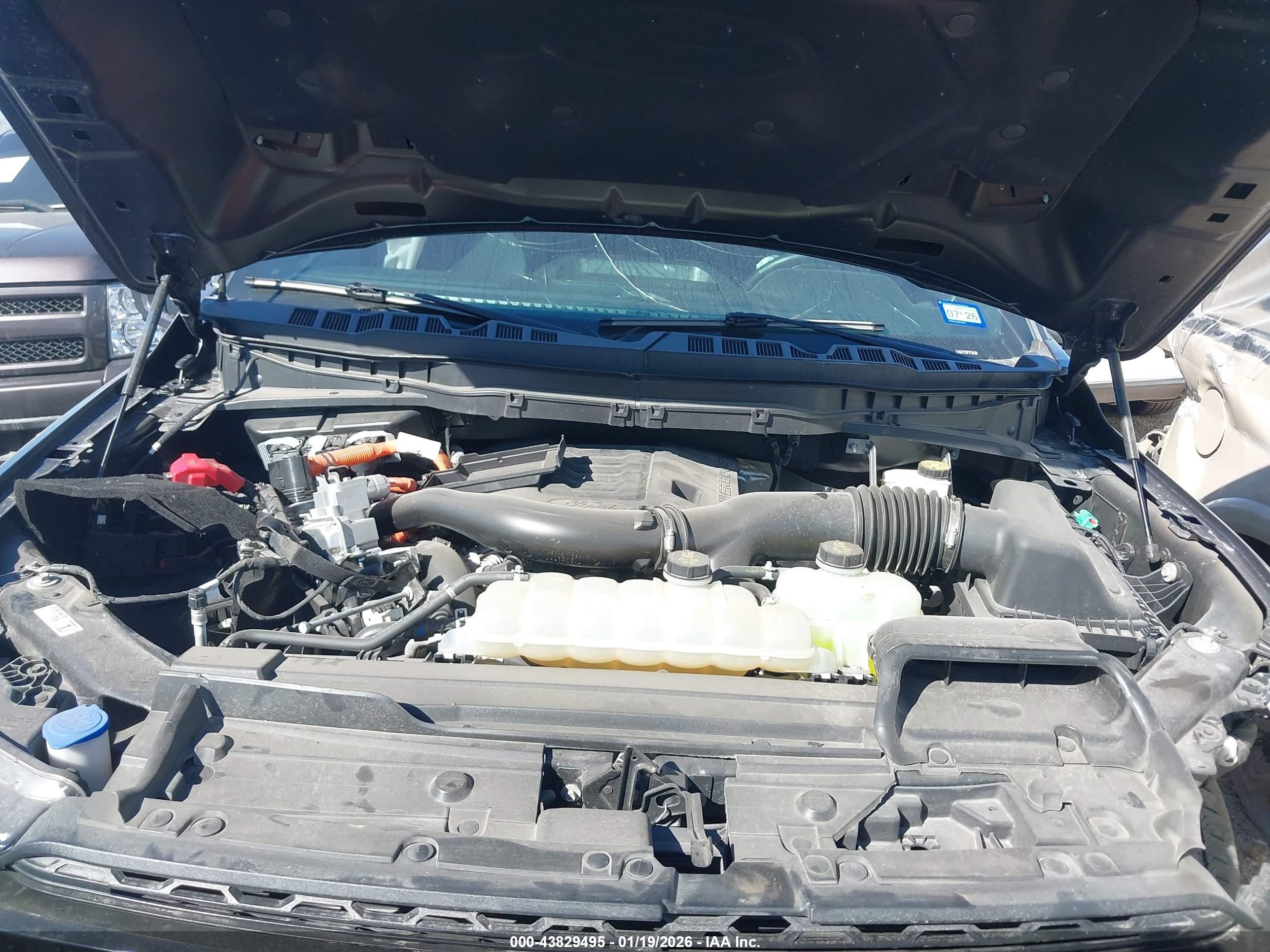 FORD F-150 image 10