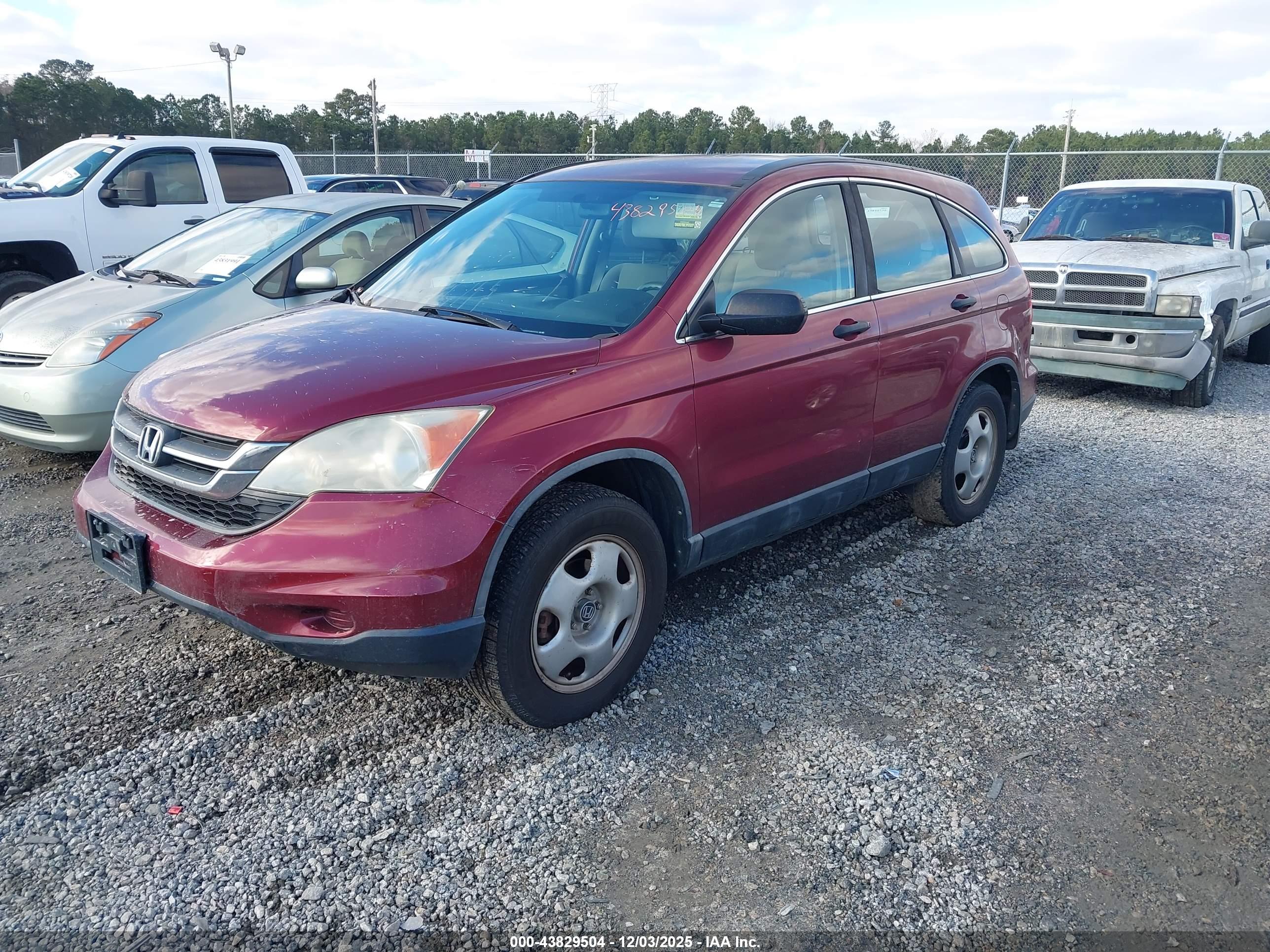 HONDA CR-V image 2