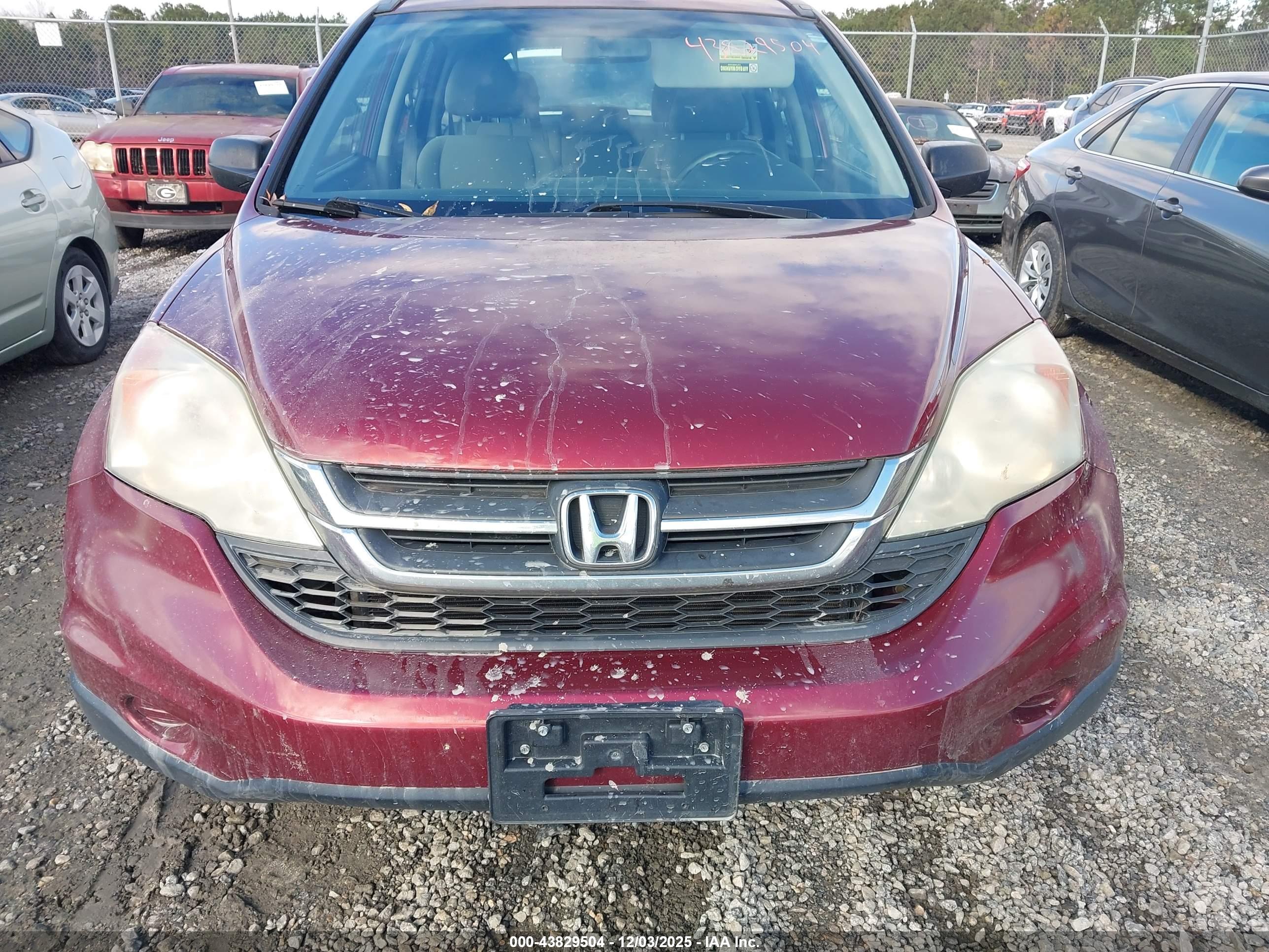 HONDA CR-V image 6