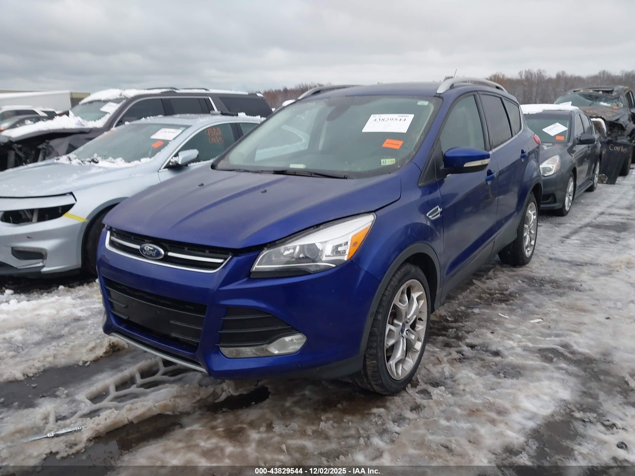 FORD ESCAPE image 2
