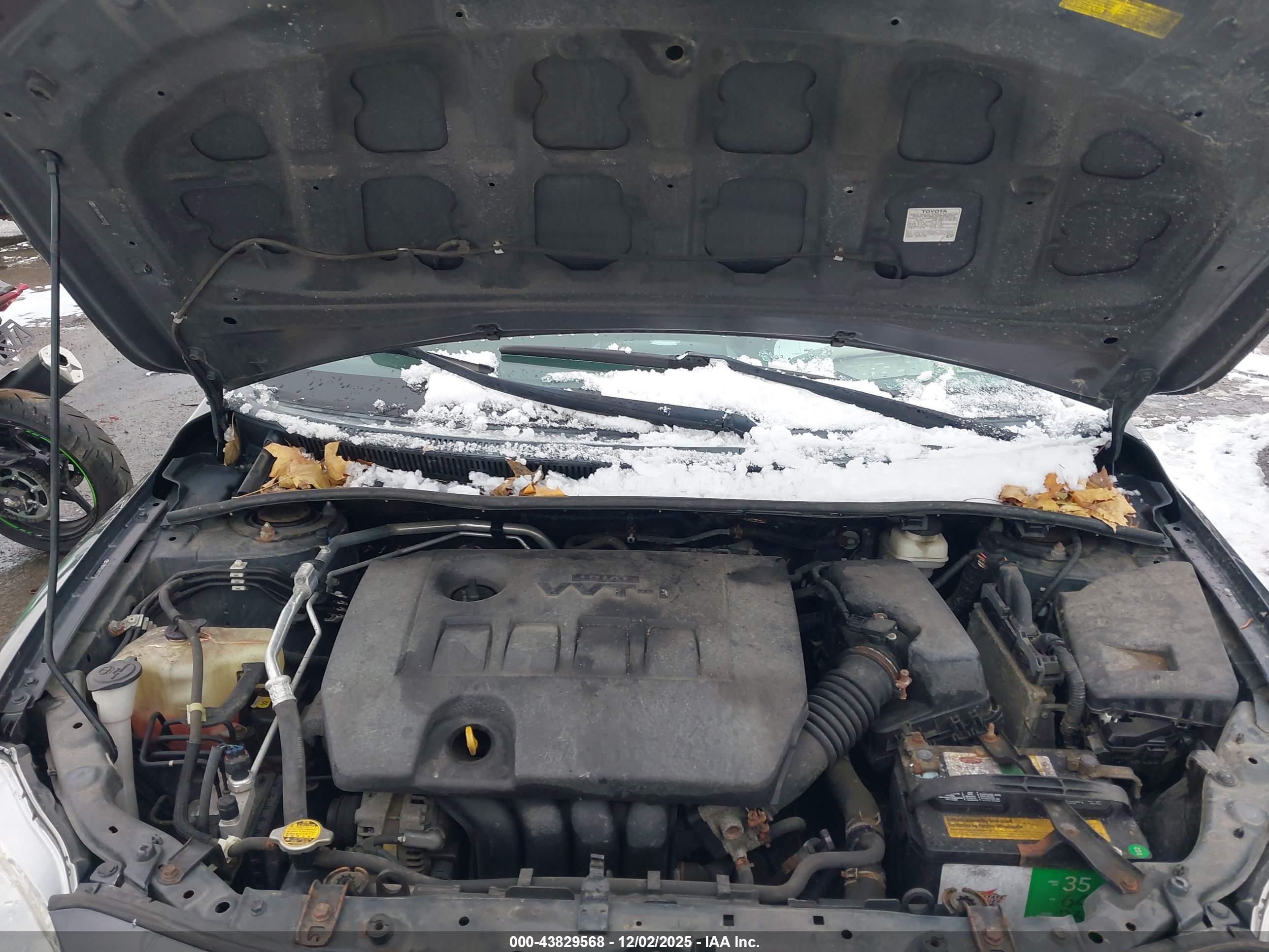 TOYOTA COROLLA image 10