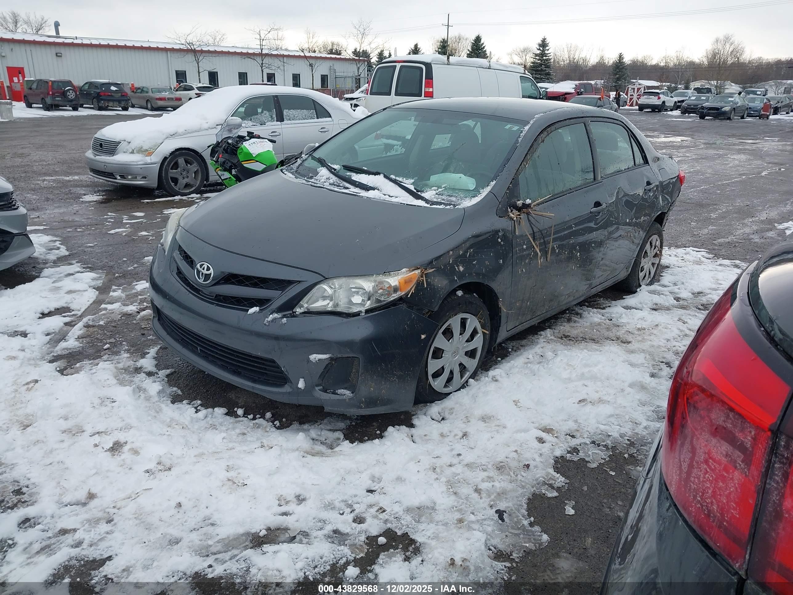 TOYOTA COROLLA image 2