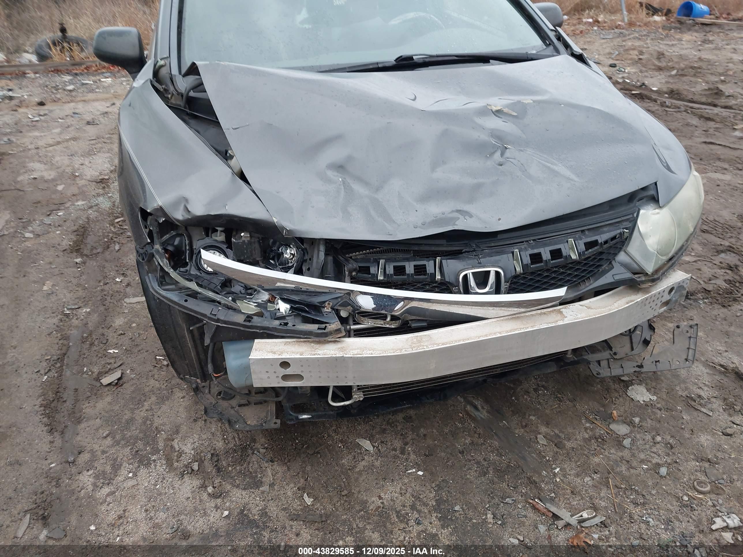 HONDA CIVIC image 6