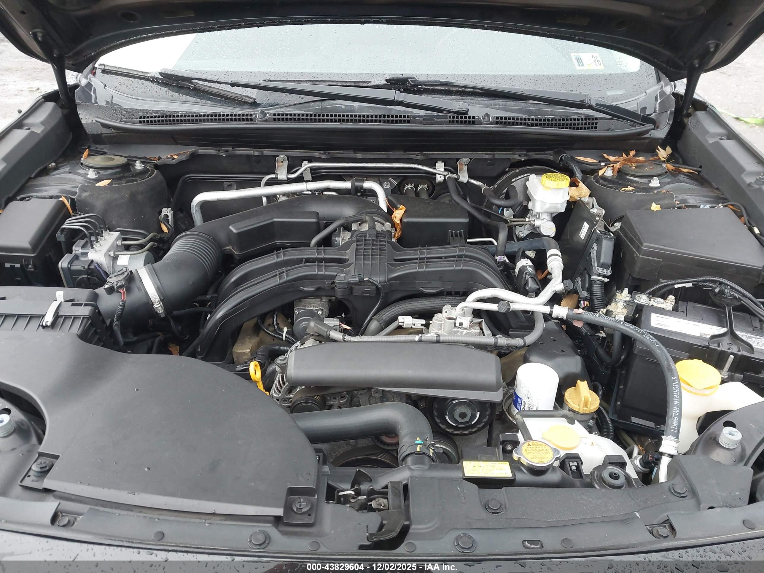 SUBARU OUTBACK image 10