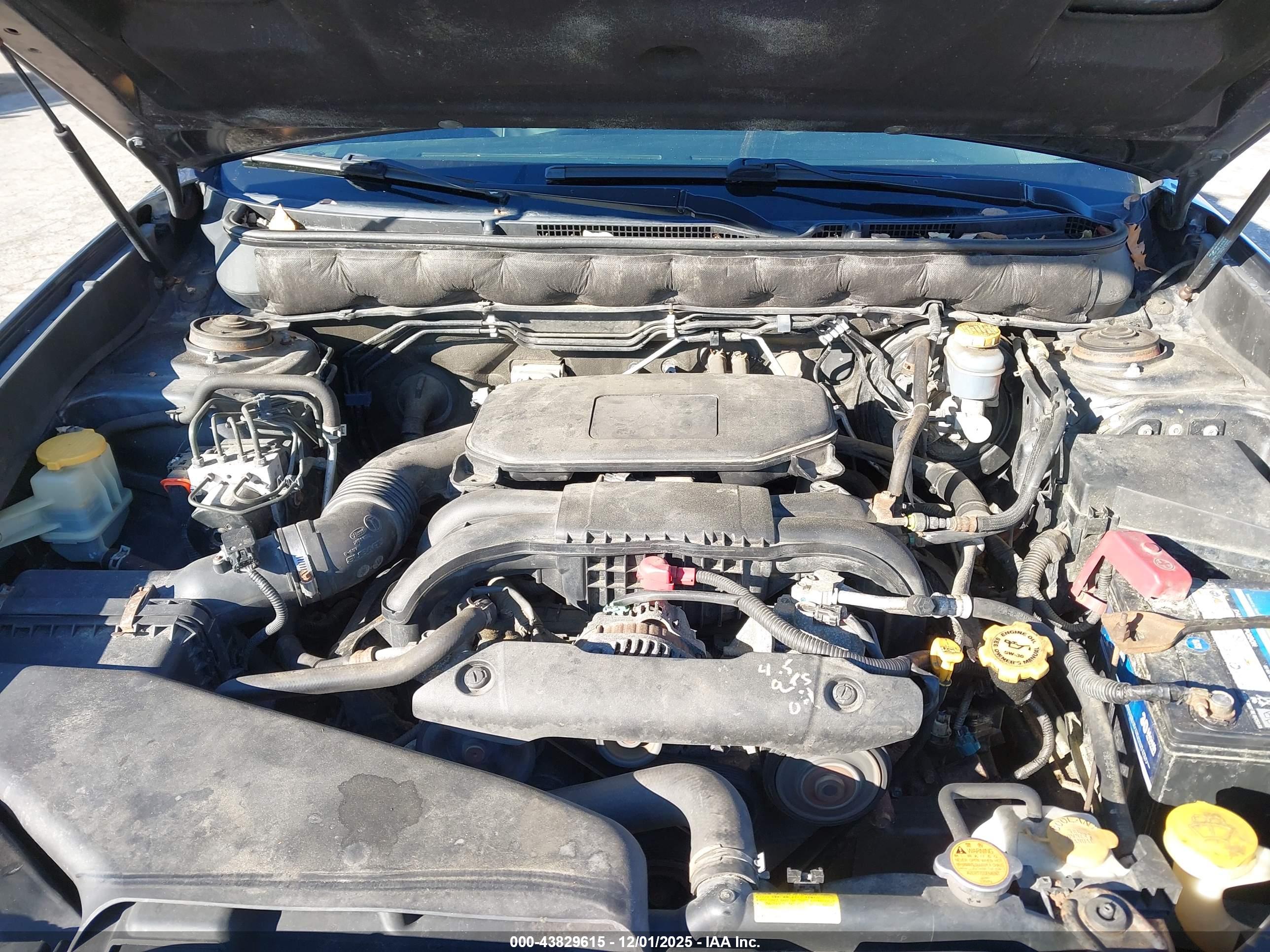 SUBARU OUTBACK image 10
