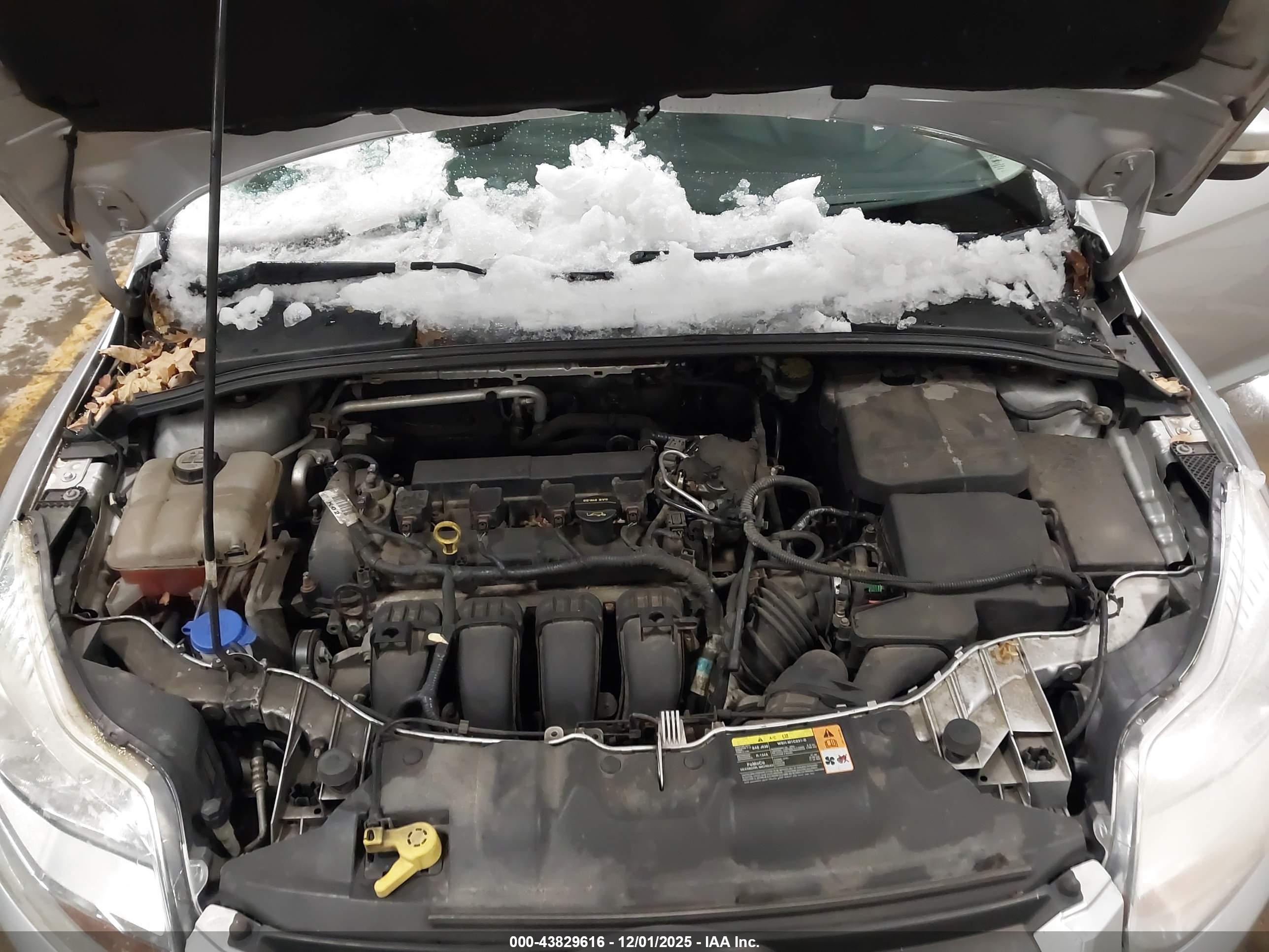 FORD FOCUS image 10